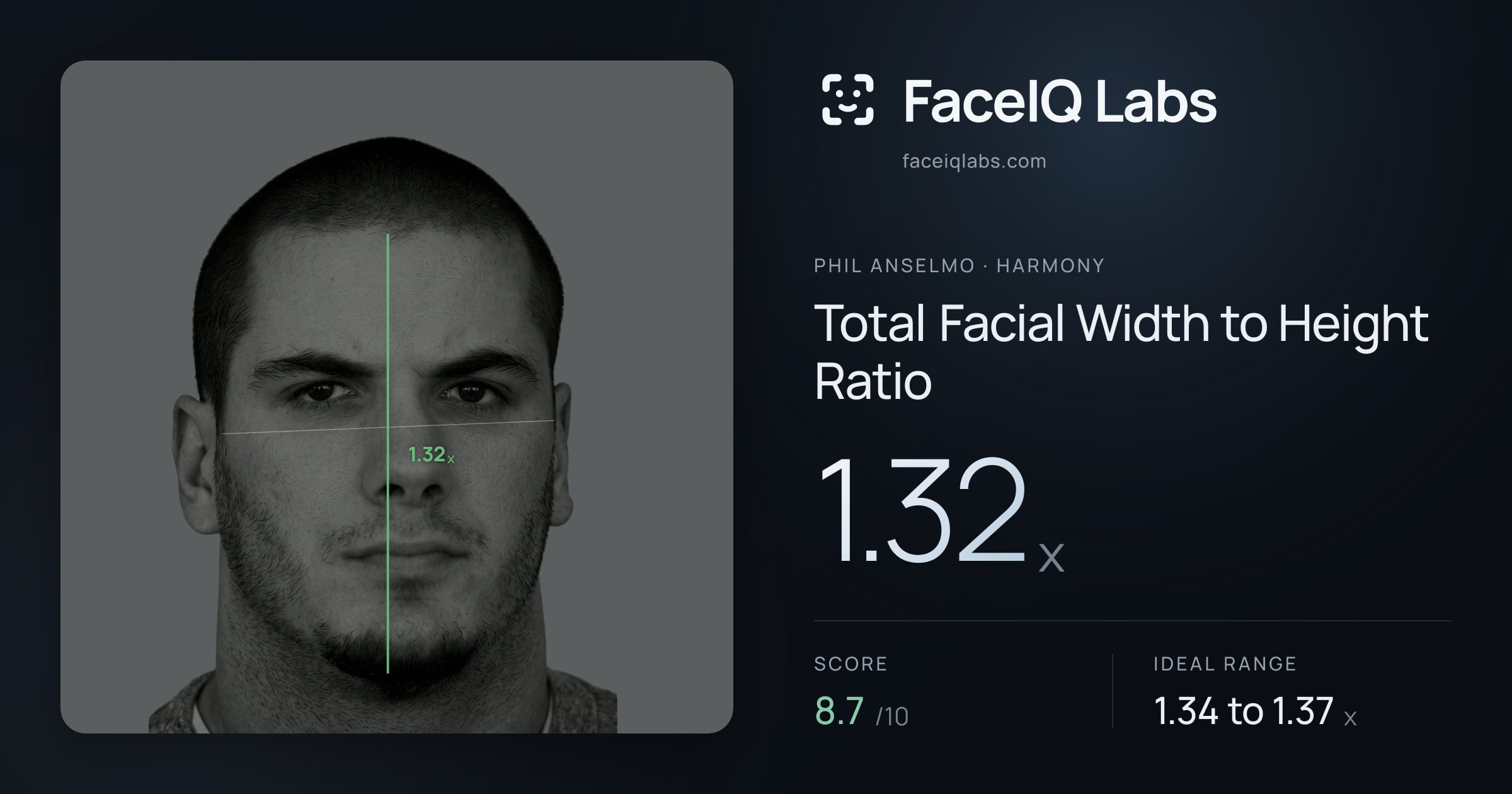Phil Anselmo Total Facial Width to Height Ratio: 1.32x, drawn on the photo