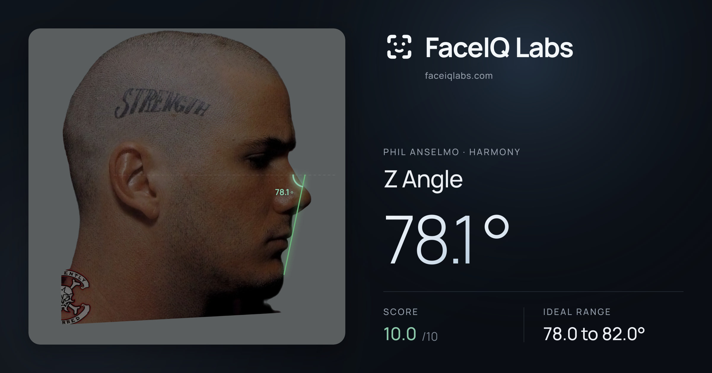 Phil Anselmo Z Angle: 78.1°, drawn on the photo