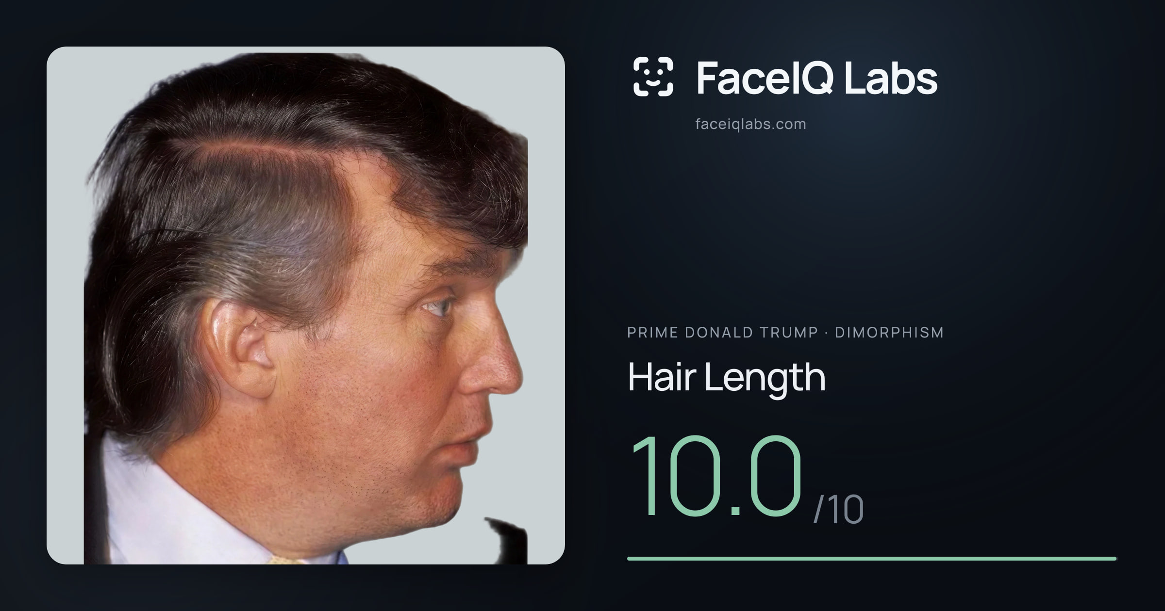 Prime Donald Trump Hair Length: 10.0/10, drawn on the photo