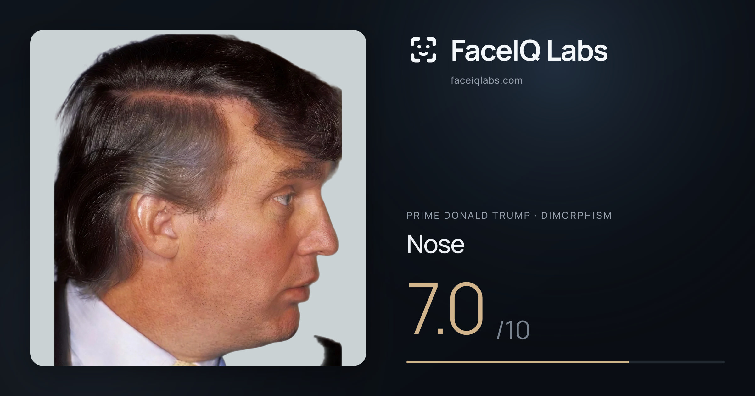 Prime Donald Trump Nose: 7.0/10, drawn on the photo