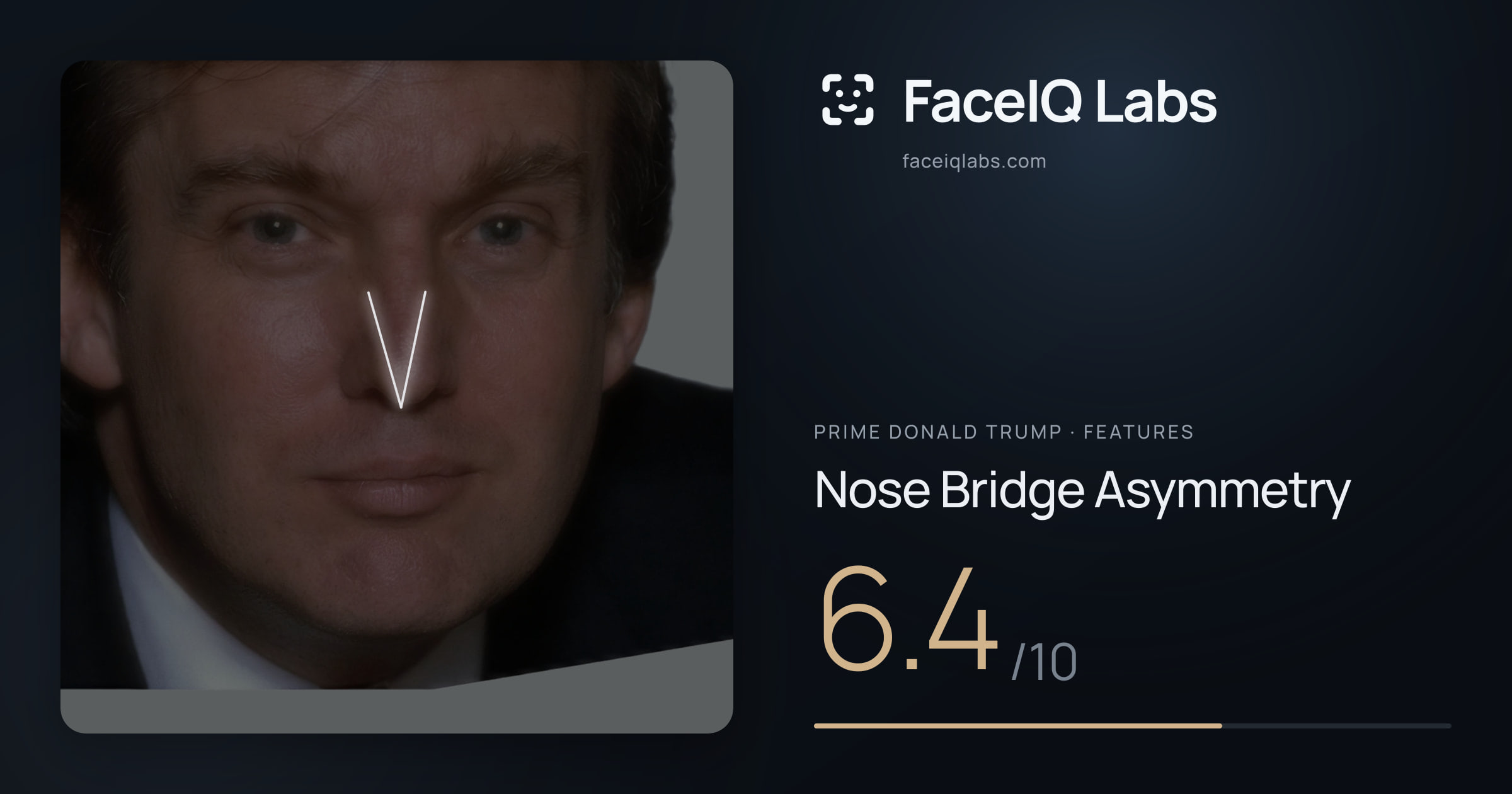 Prime Donald Trump Nose Bridge Asymmetry: 6.4/10, drawn on the photo