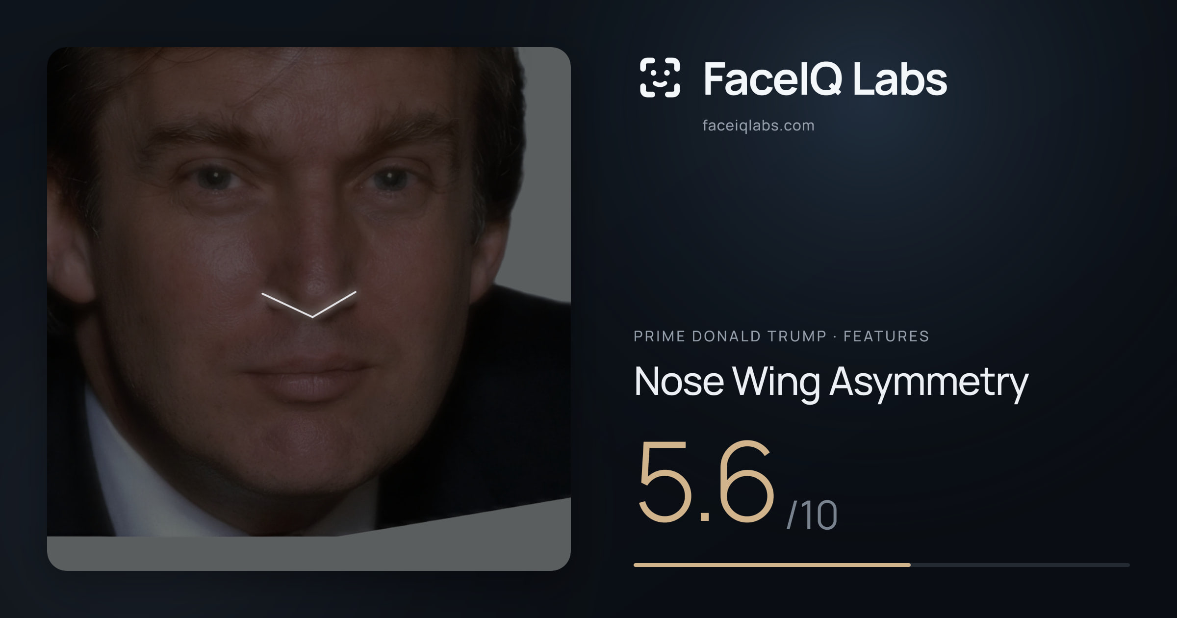 Prime Donald Trump Nose Wing Asymmetry: 5.6/10, drawn on the photo