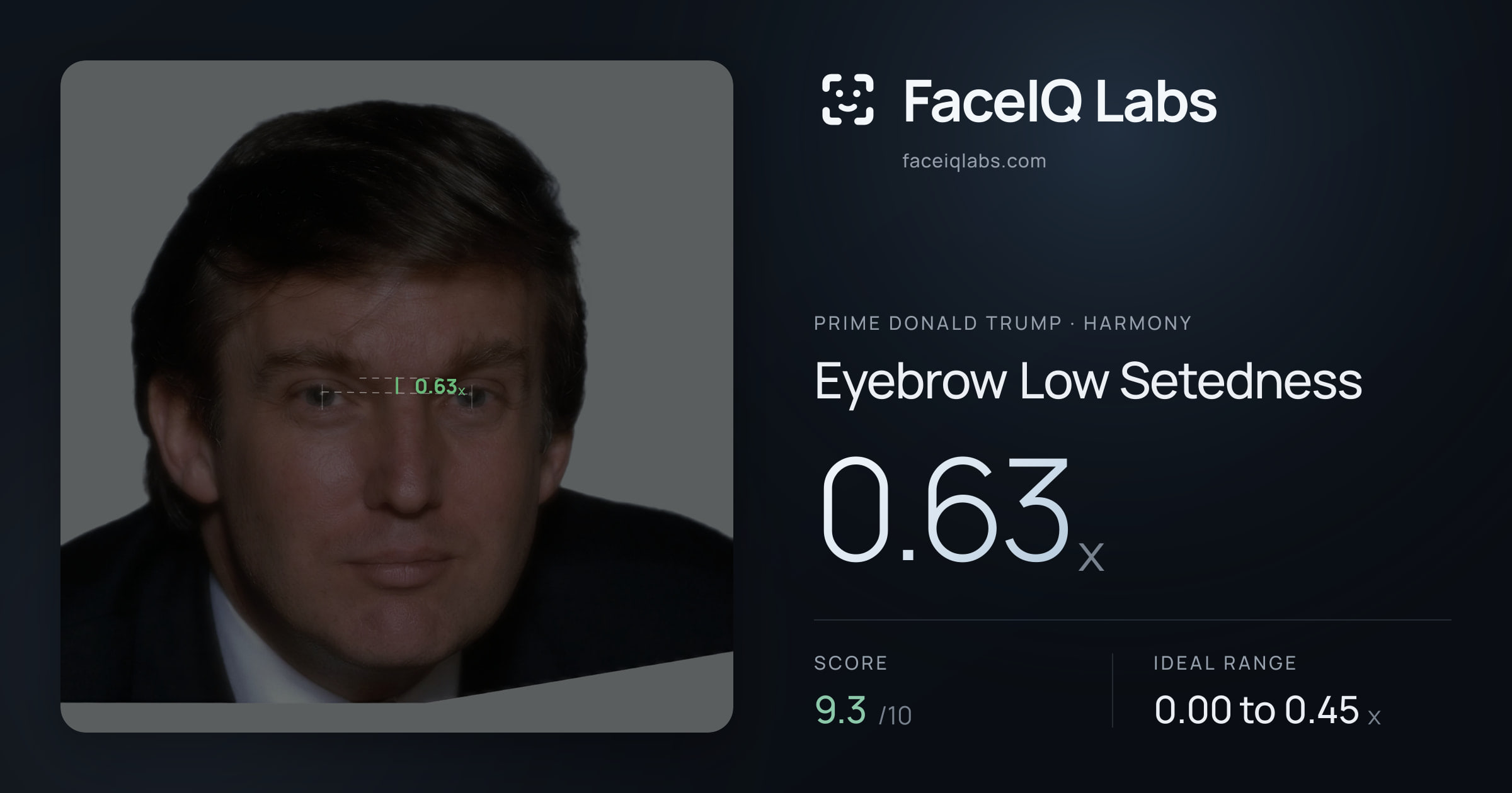 Prime Donald Trump Eyebrow Low Setedness: 0.63x, drawn on the photo
