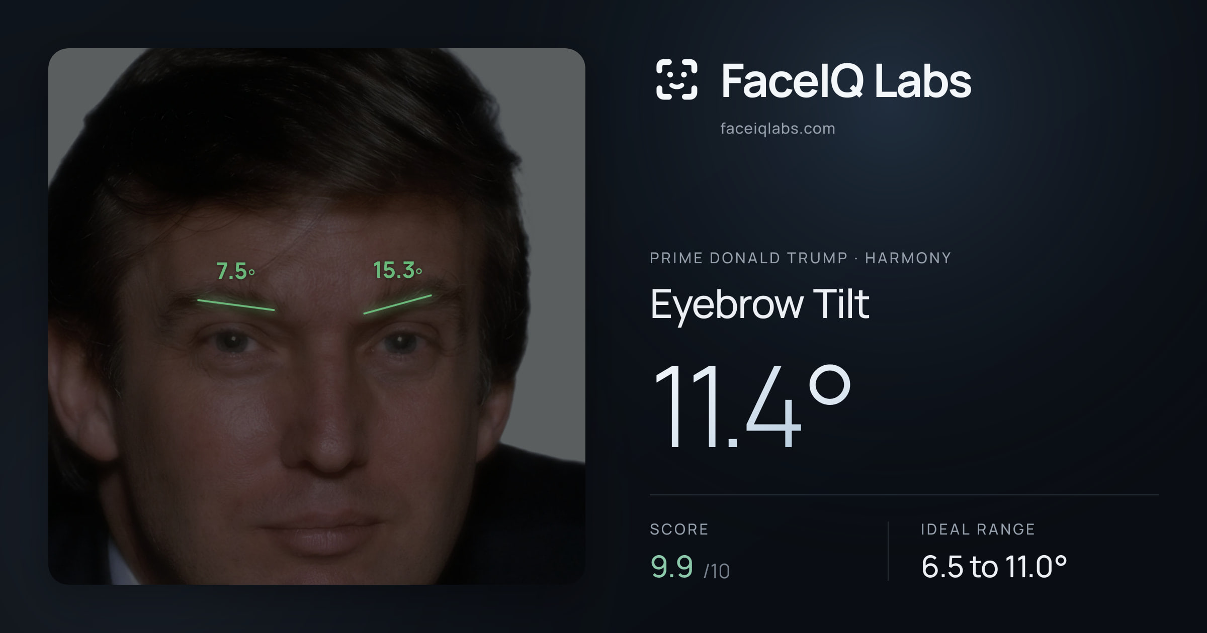 Prime Donald Trump Eyebrow Tilt: 11.4°, drawn on the photo