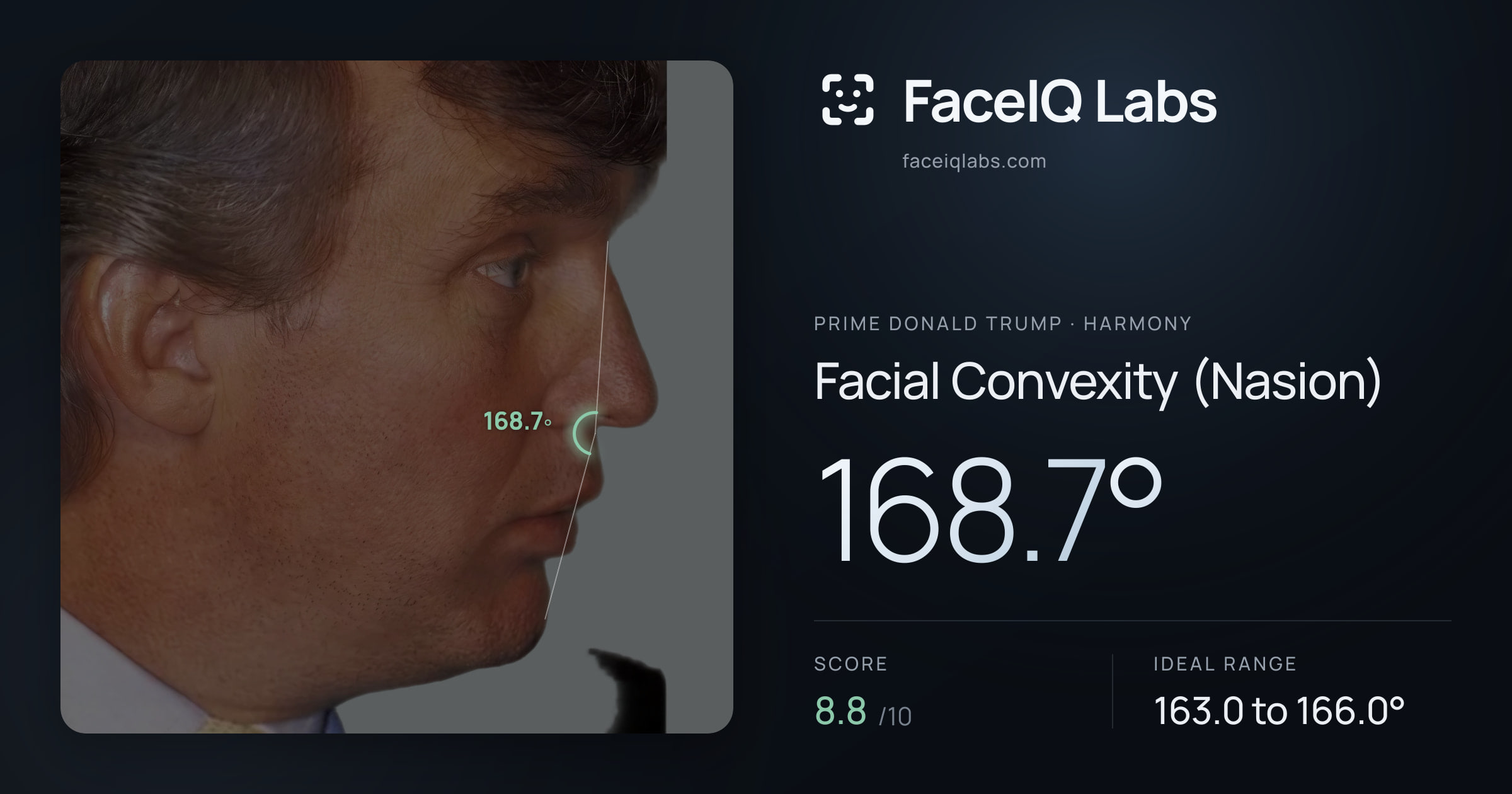 Prime Donald Trump Facial Convexity (Nasion): 168.7°, drawn on the photo