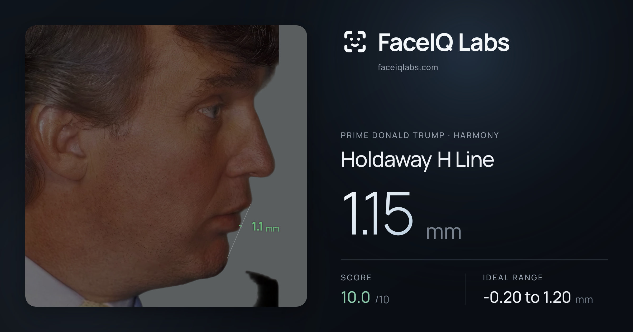 Prime Donald Trump Holdaway H Line: 1.15mm, drawn on the photo