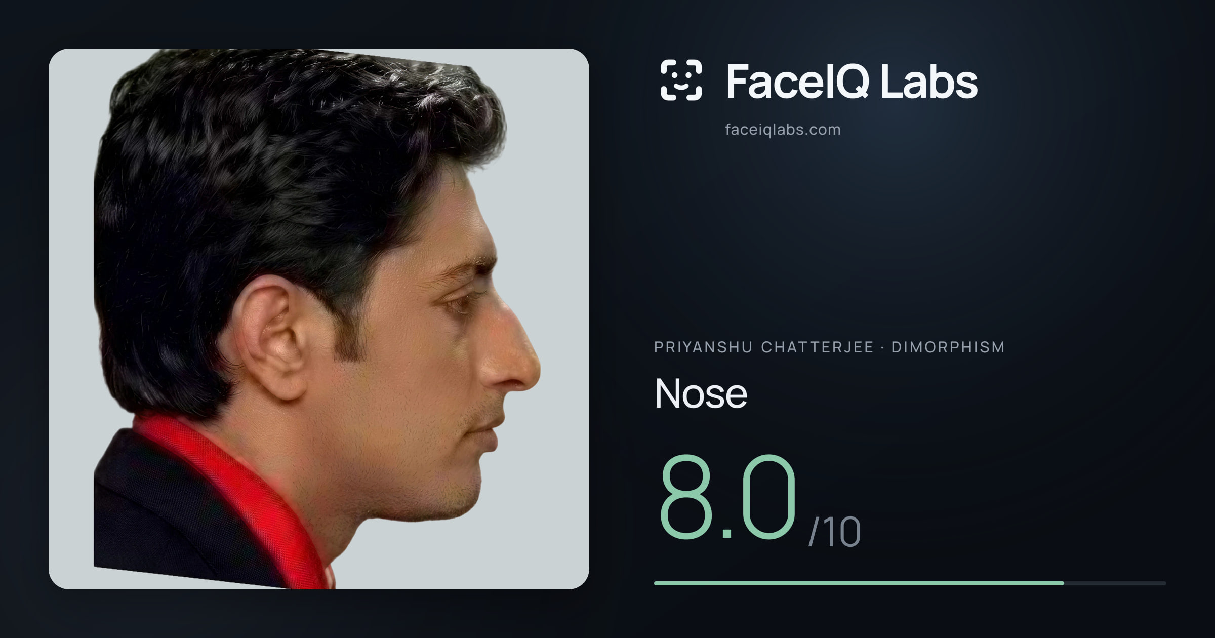 Priyanshu Chatterjee Nose: 8.0/10, drawn on the photo