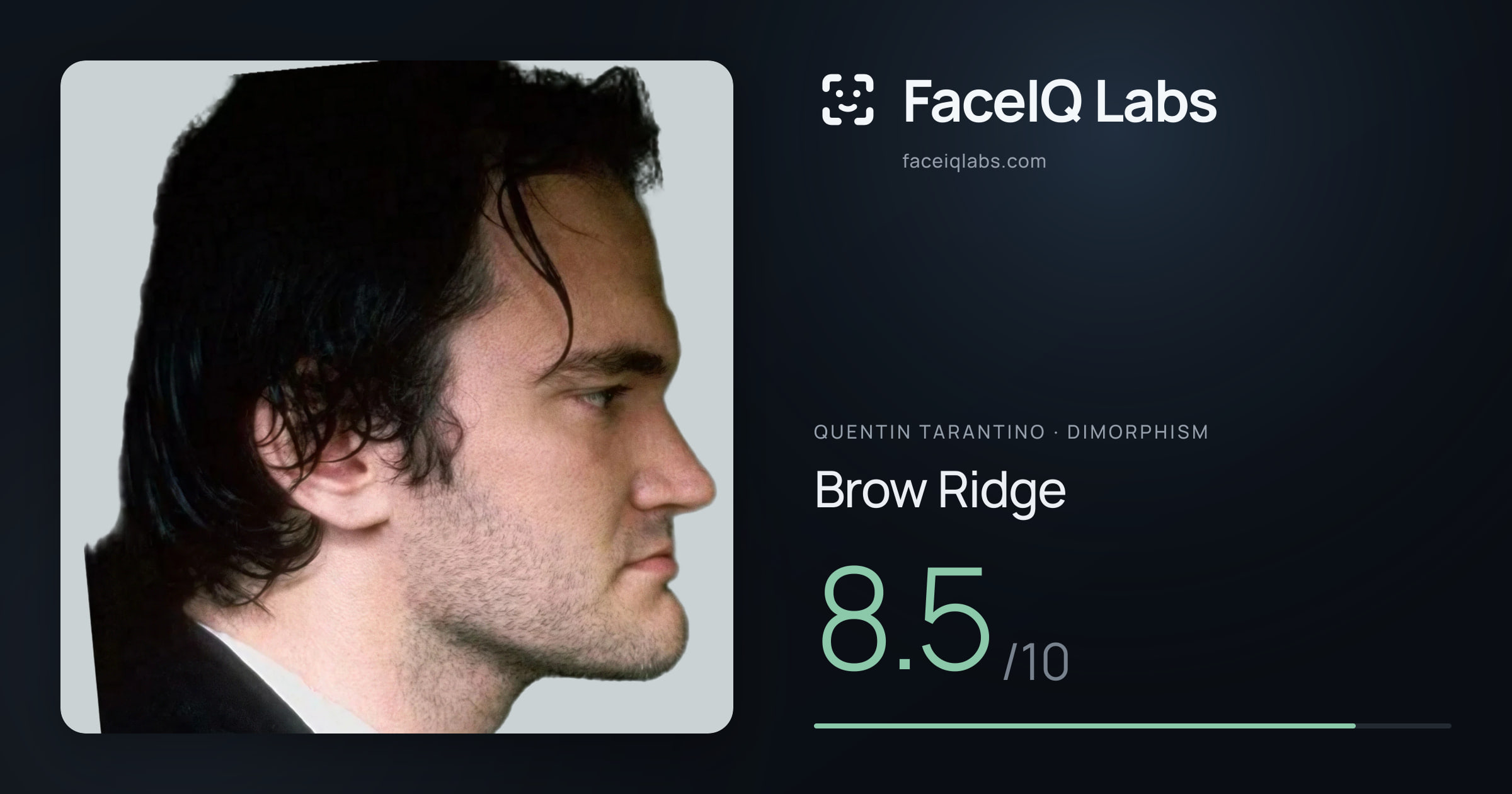 Quentin Tarantino Brow Ridge: 8.5/10, drawn on the photo