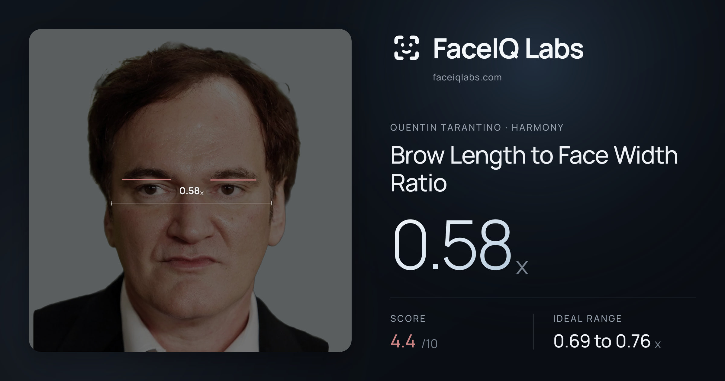 Quentin Tarantino Brow Length to Face Width Ratio: 0.58x, drawn on the photo