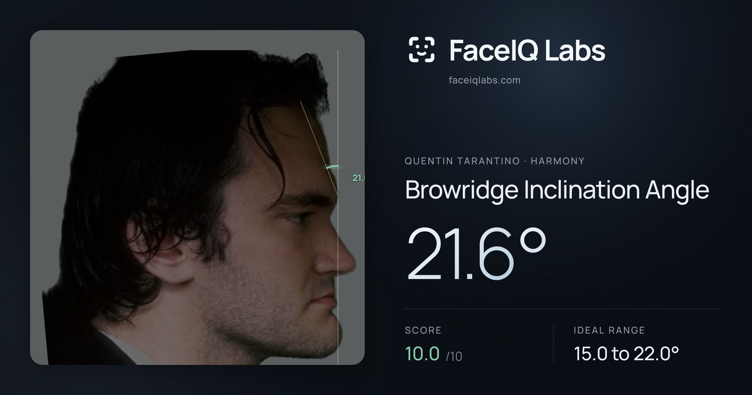 Quentin Tarantino Browridge Inclination Angle: 21.6°, drawn on the photo