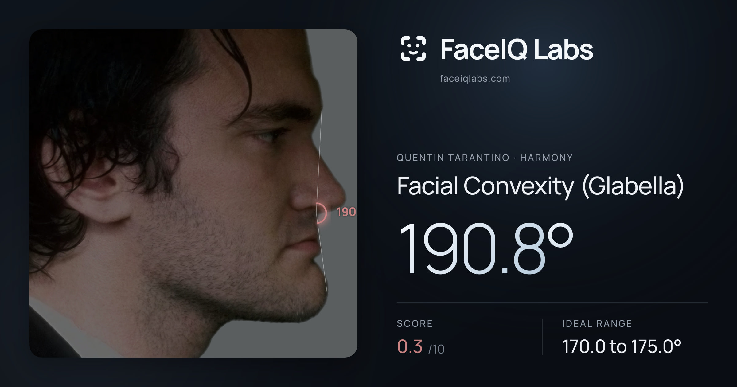 Quentin Tarantino Facial Convexity (Glabella): 190.8°, drawn on the photo