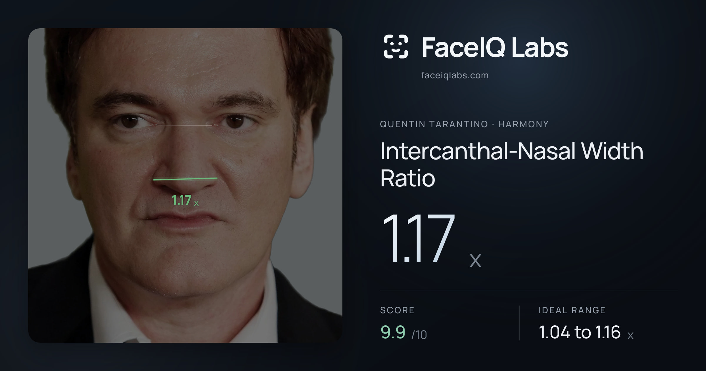 Quentin Tarantino Intercanthal-Nasal Width Ratio: 1.17x, drawn on the photo