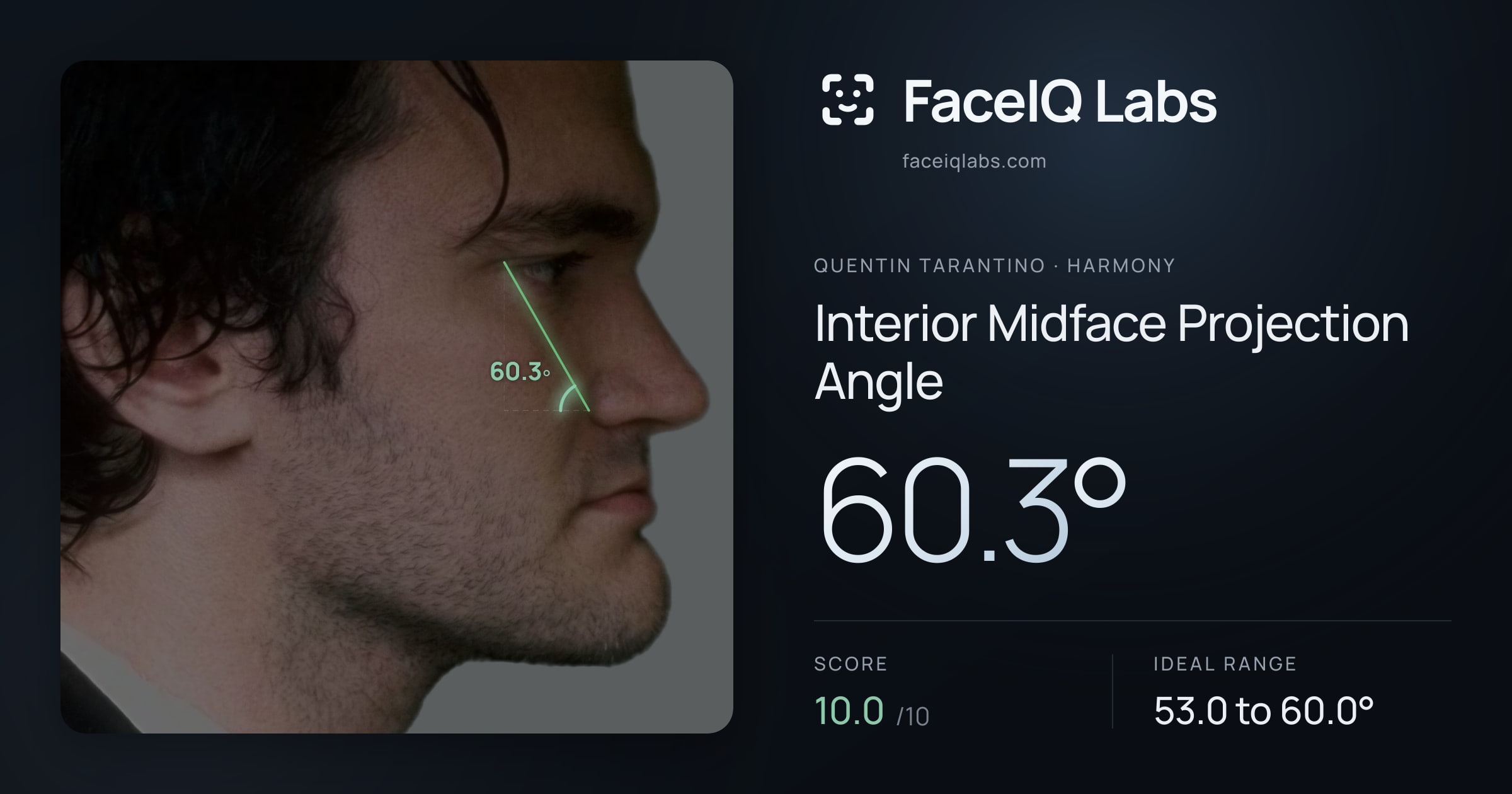 Quentin Tarantino Interior Midface Projection Angle: 60.3°, drawn on the photo