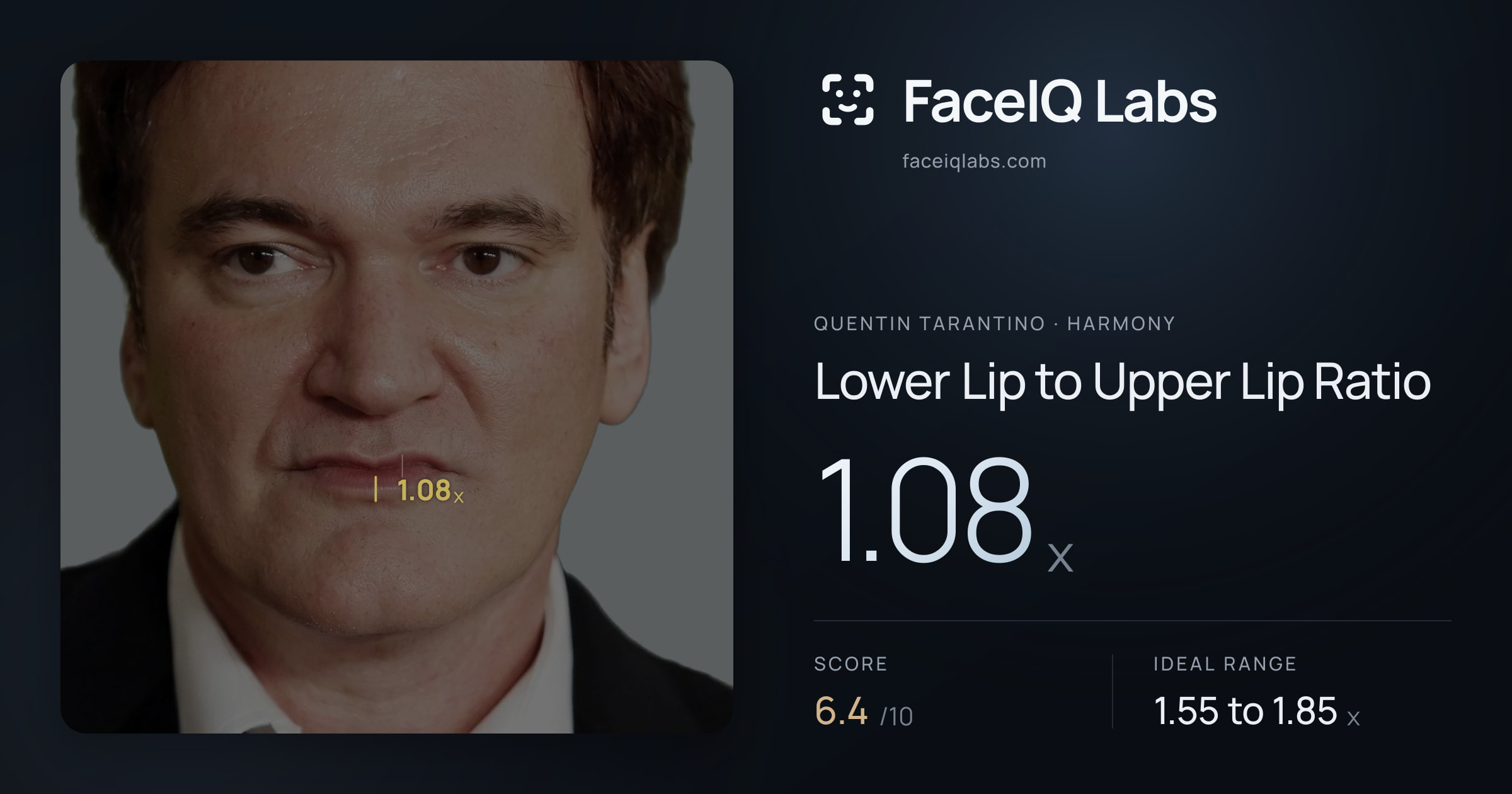 Quentin Tarantino Lower Lip to Upper Lip Ratio: 1.08x, drawn on the photo