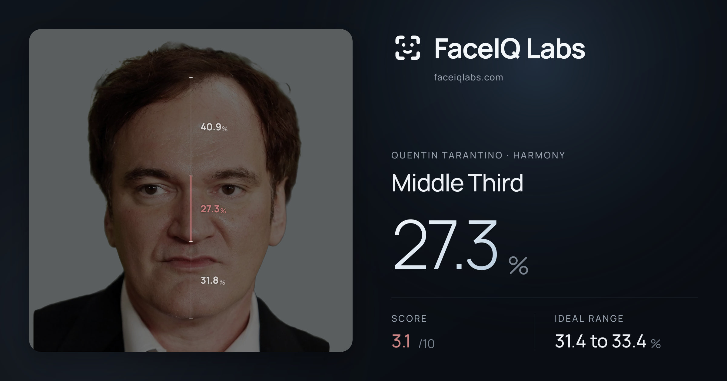 Quentin Tarantino Middle Third: 27.3%, drawn on the photo