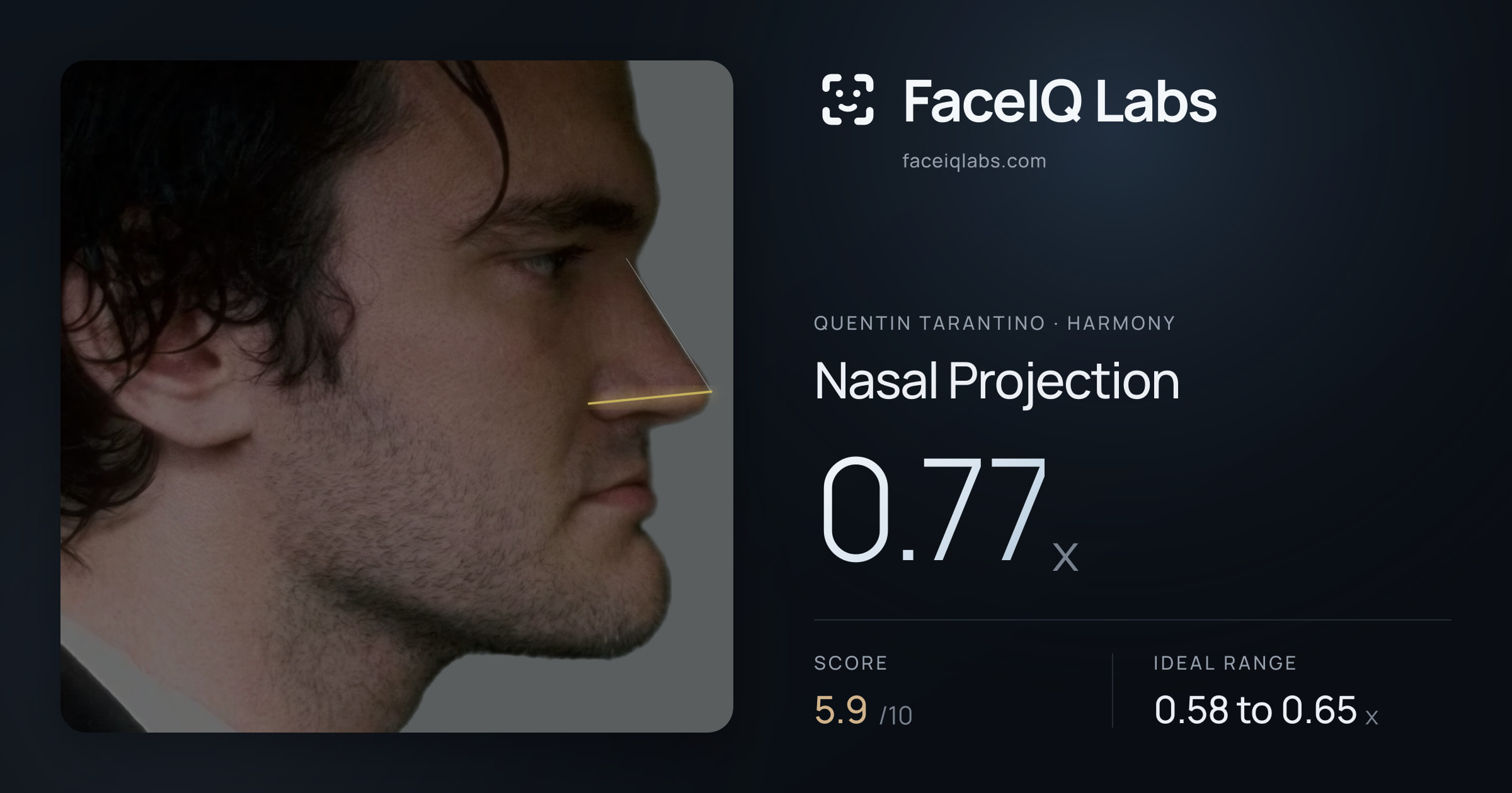 Quentin Tarantino Nasal Projection: 0.77x, drawn on the photo