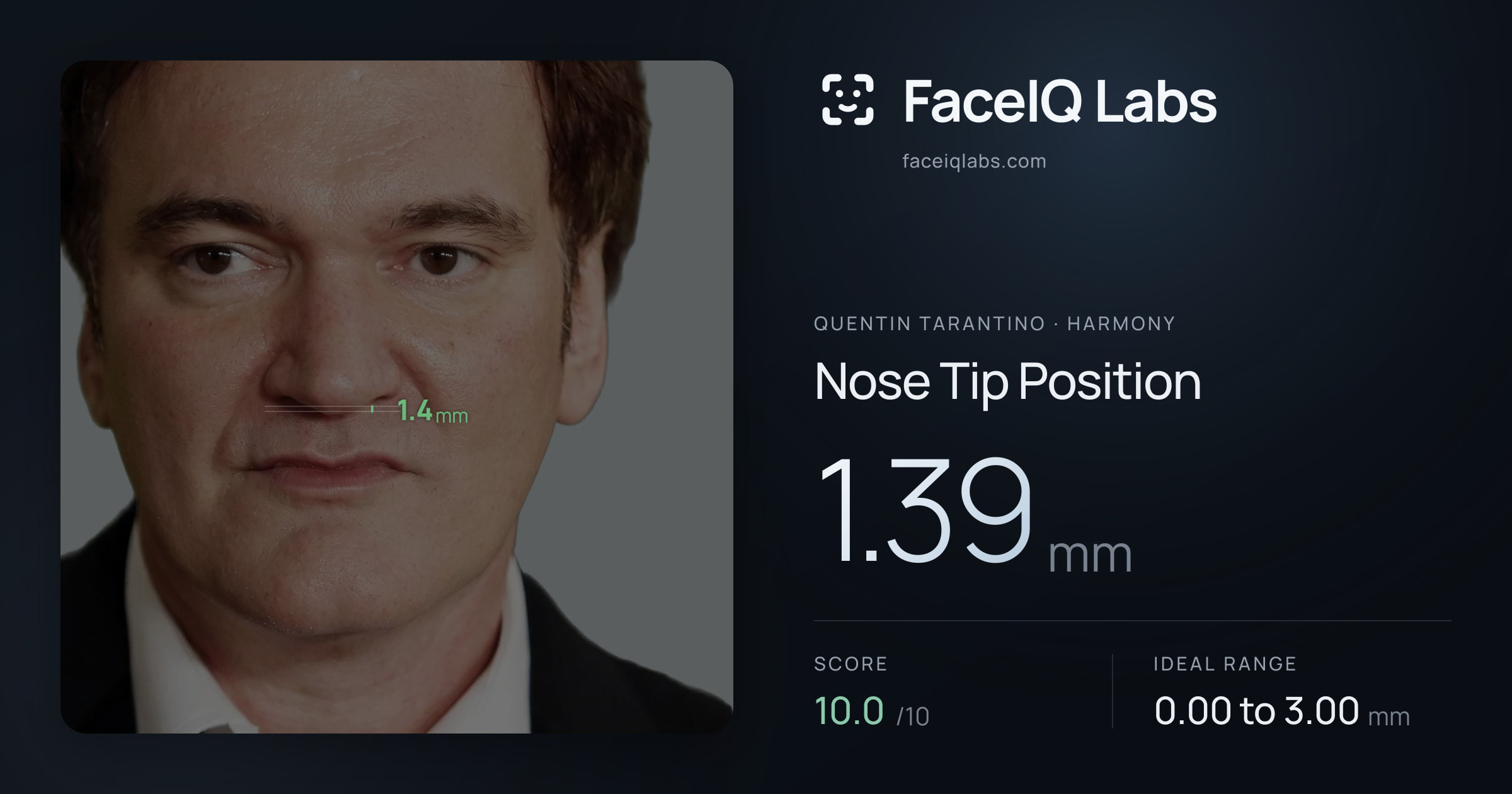 Quentin Tarantino Nose Tip Position: 1.39mm, drawn on the photo
