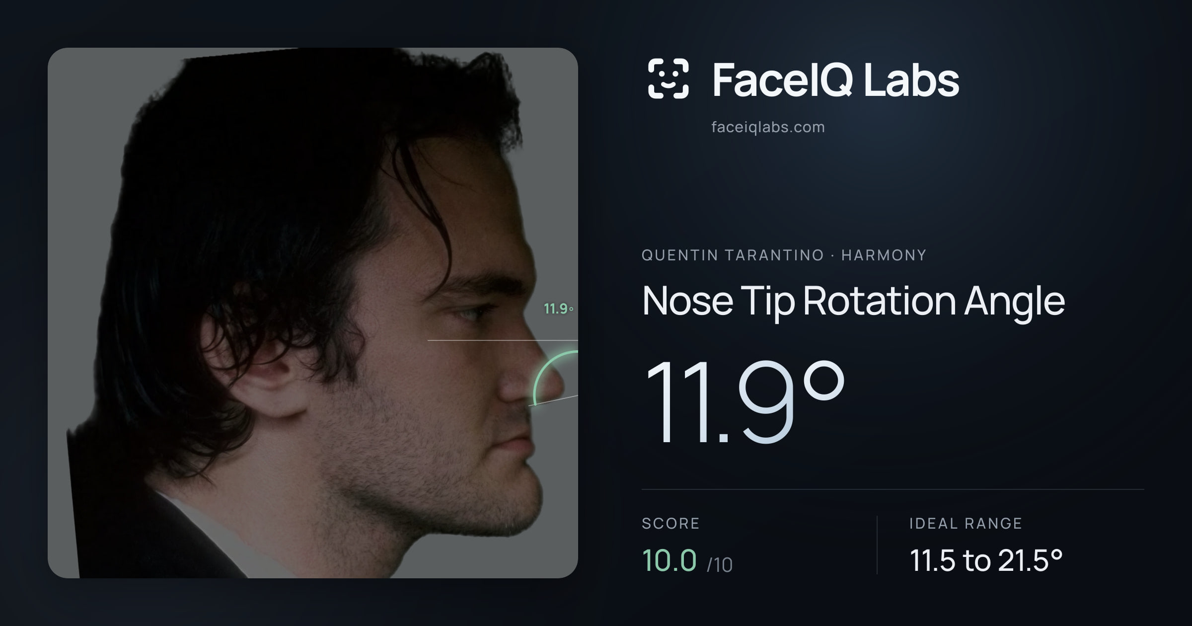 Quentin Tarantino Nose Tip Rotation Angle: 11.9°, drawn on the photo