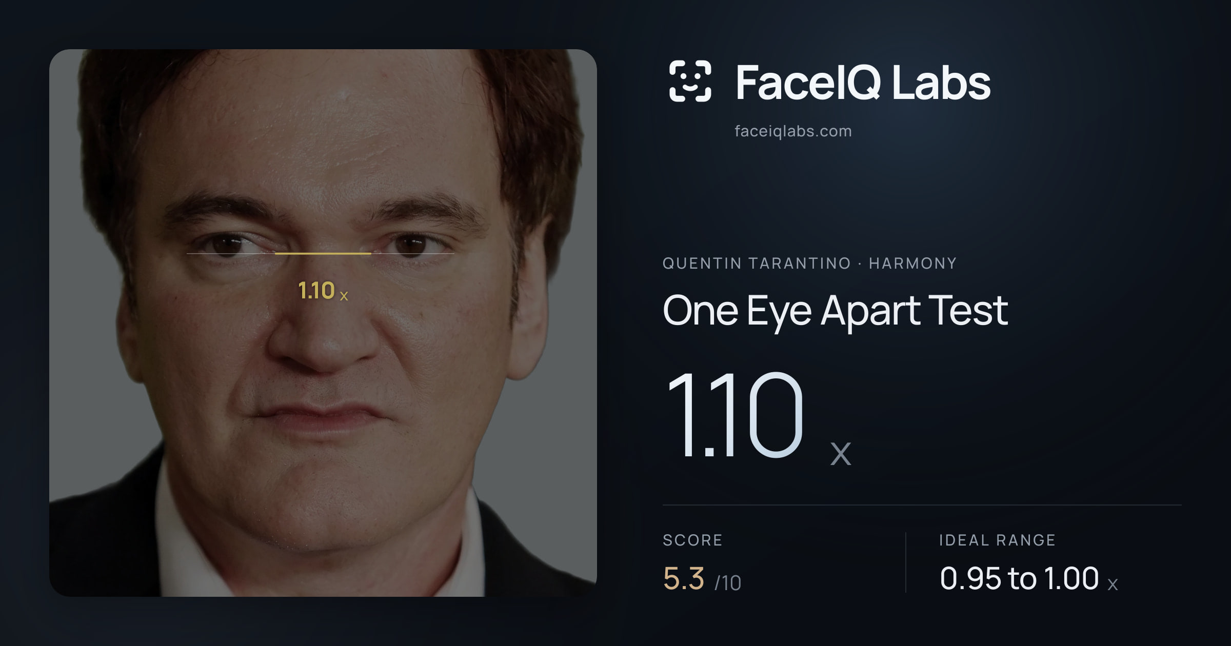 Quentin Tarantino One Eye Apart Test: 1.10x, drawn on the photo