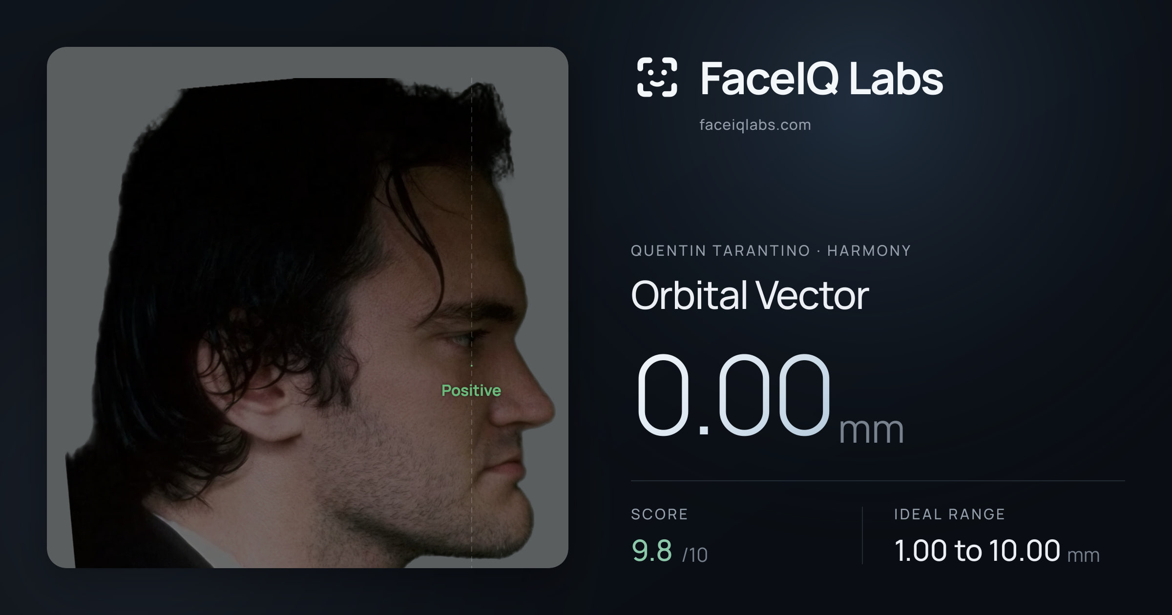 Quentin Tarantino Orbital Vector: 0.00mm, drawn on the photo