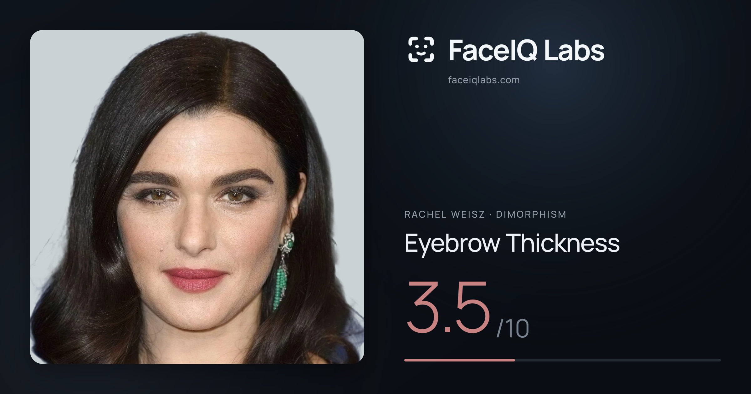 Rachel Weisz Eyebrow Thickness: 3.5/10, drawn on the photo