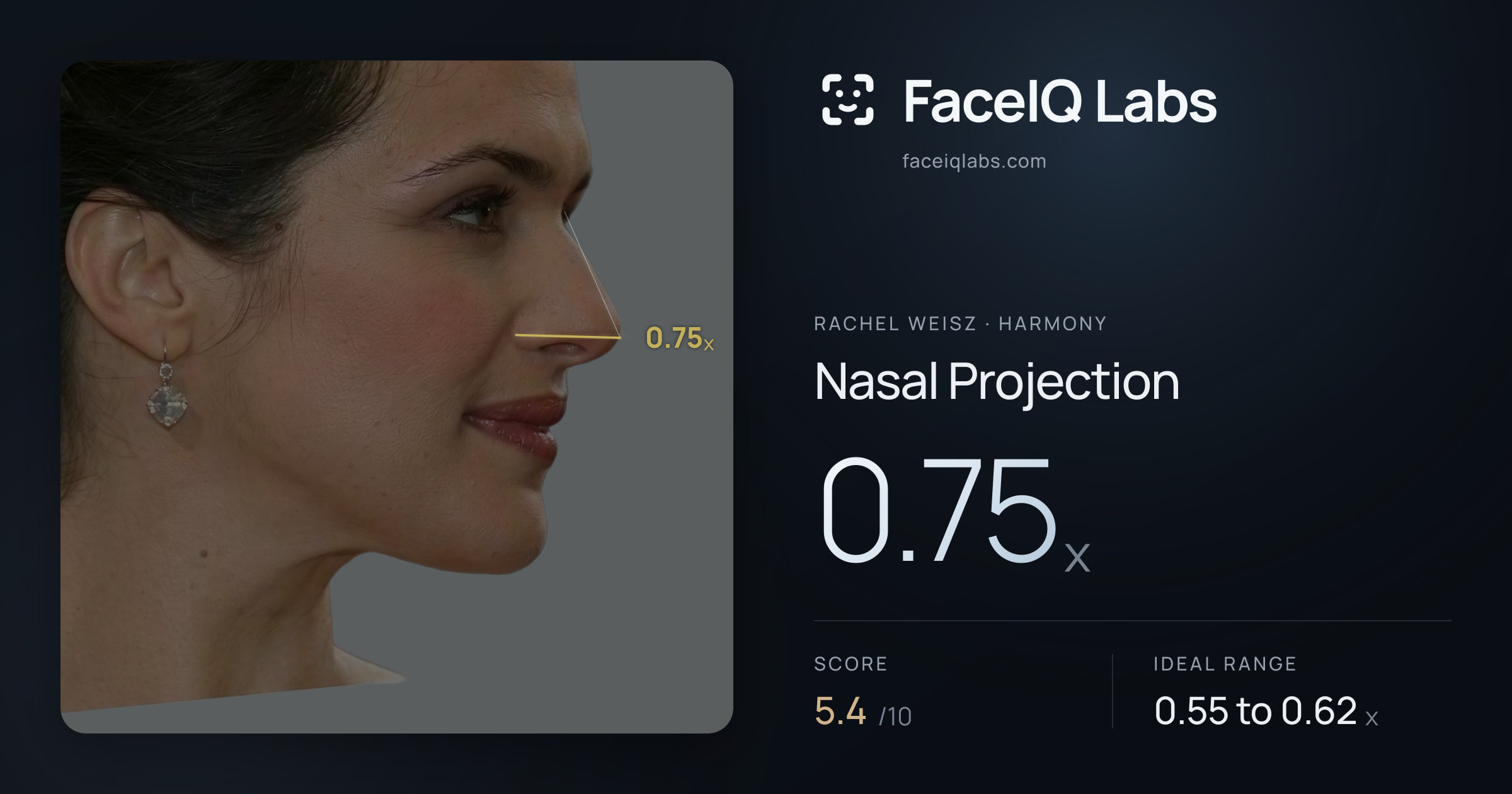 Rachel Weisz Nasal Projection: 0.75x, drawn on the photo
