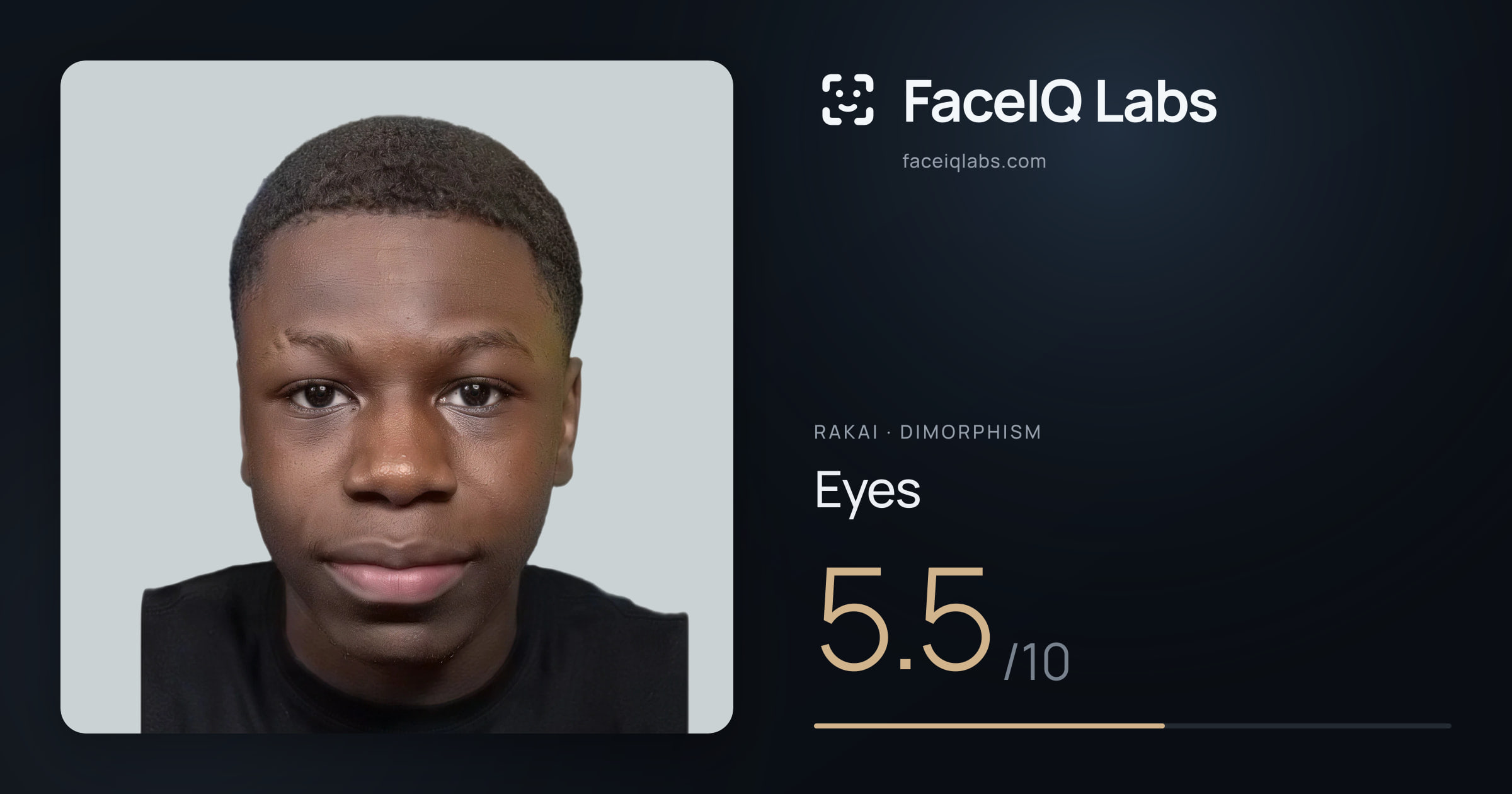 Rakai Eyes: 5.5/10, drawn on the photo