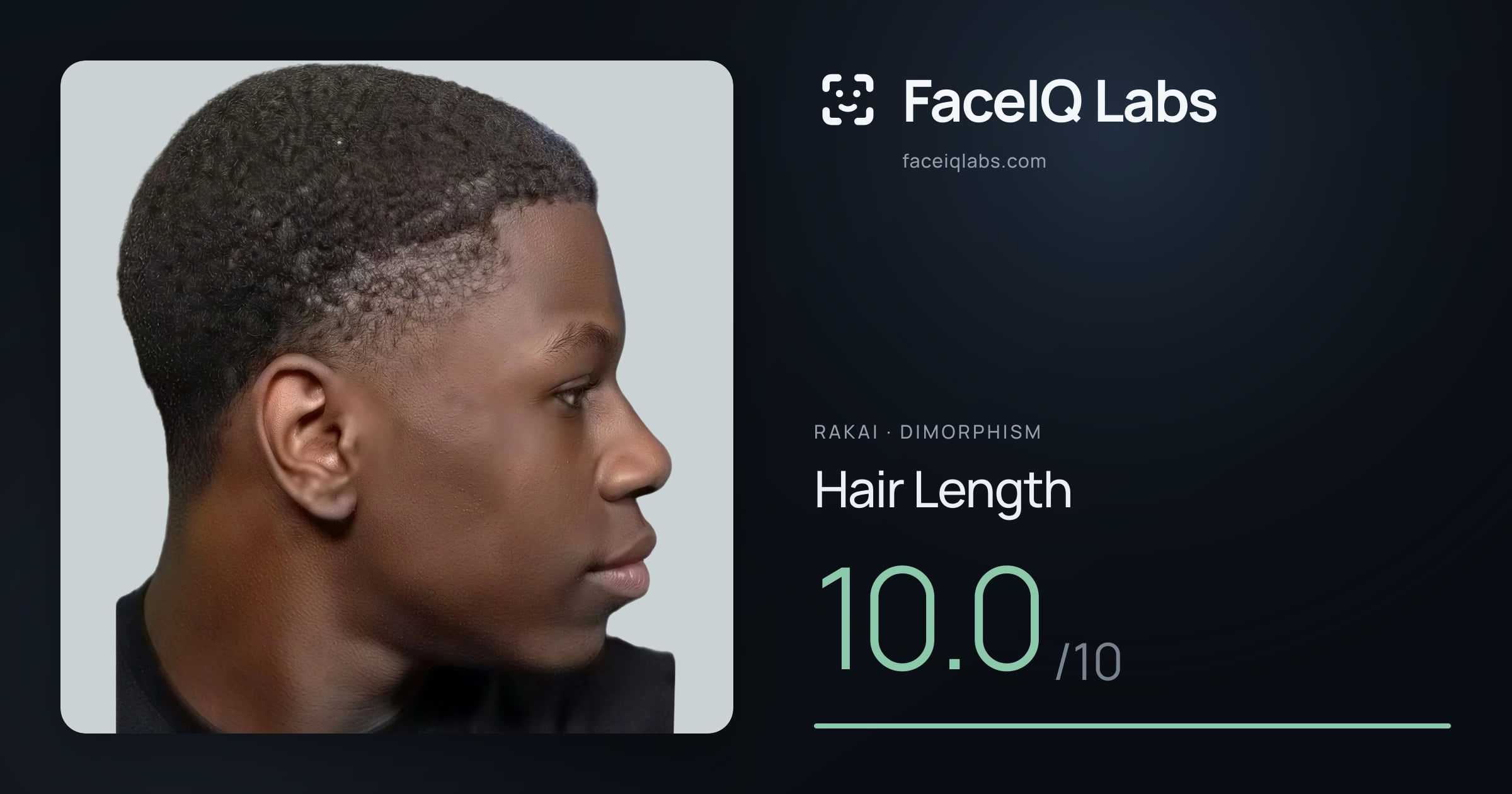 Rakai Hair Length: 10.0/10, drawn on the photo
