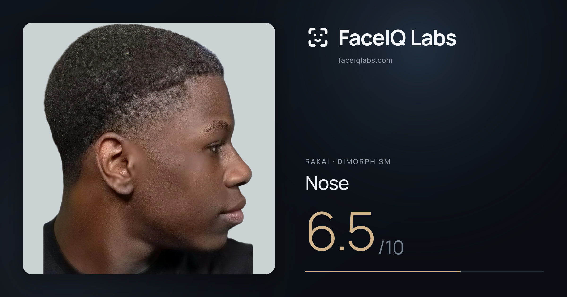 Rakai Nose: 6.5/10, drawn on the photo