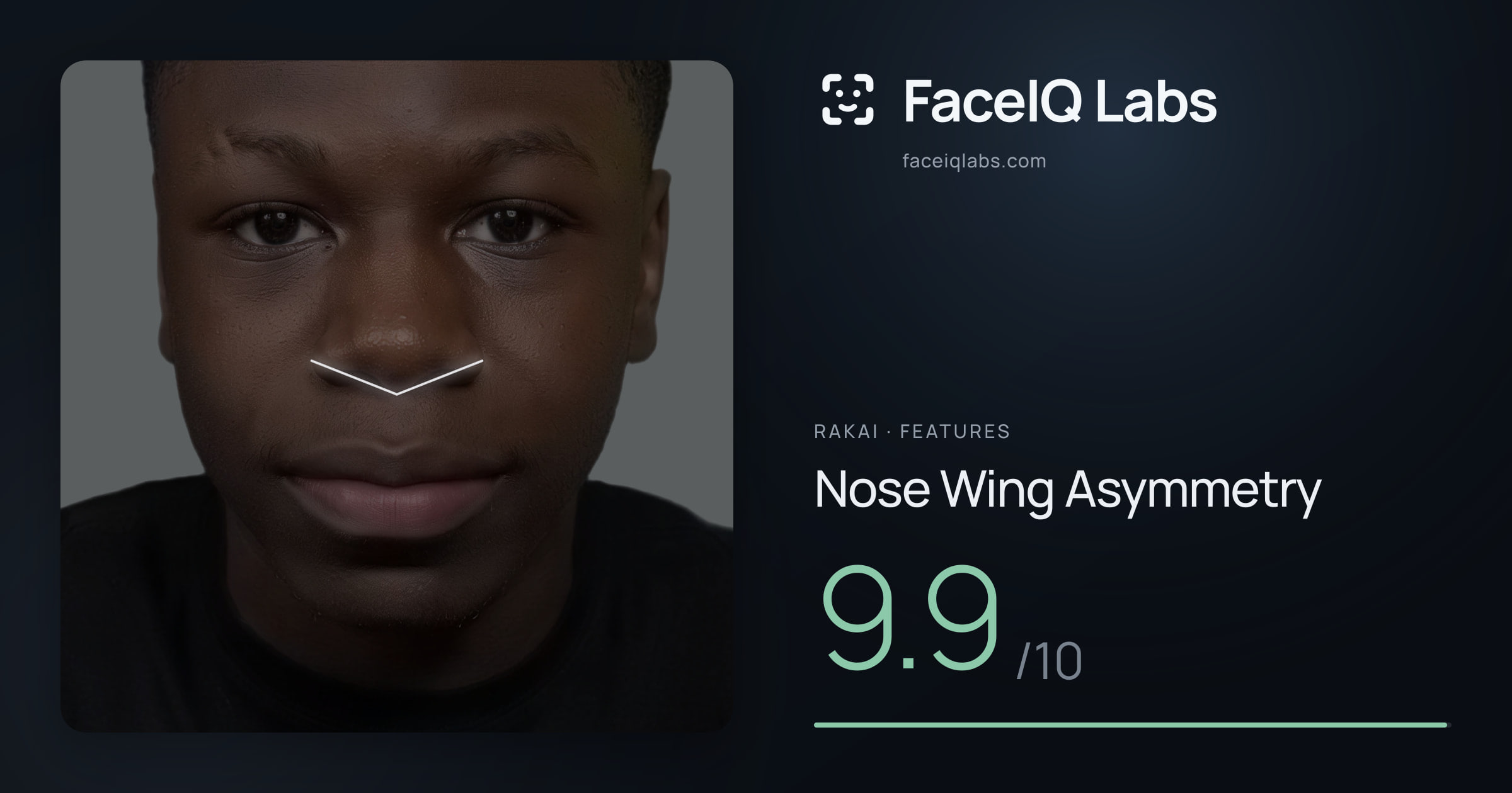 Rakai Nose Wing Asymmetry: 9.9/10, drawn on the photo