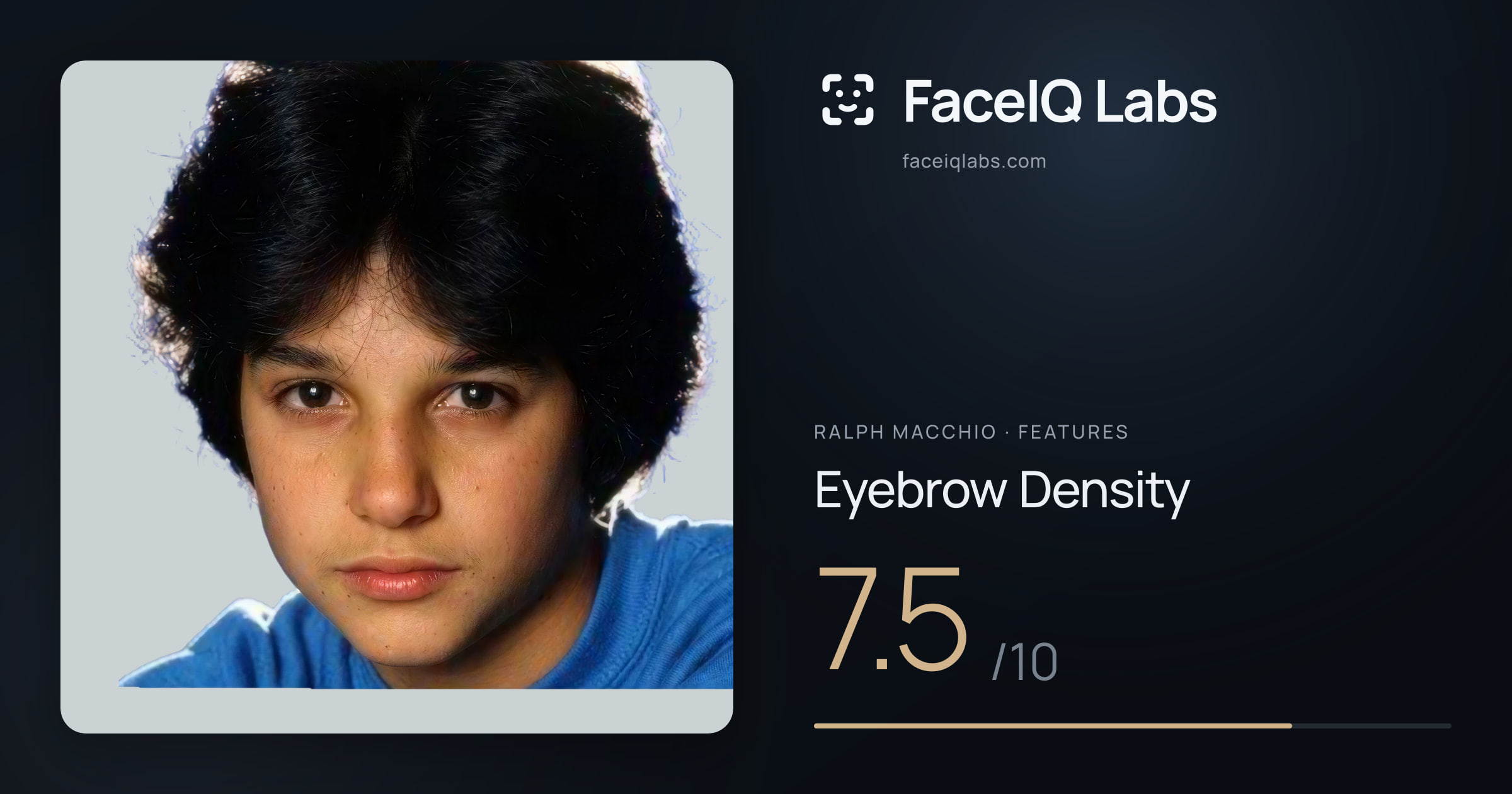 Ralph Macchio Eyebrow Density: 7.5/10, drawn on the photo
