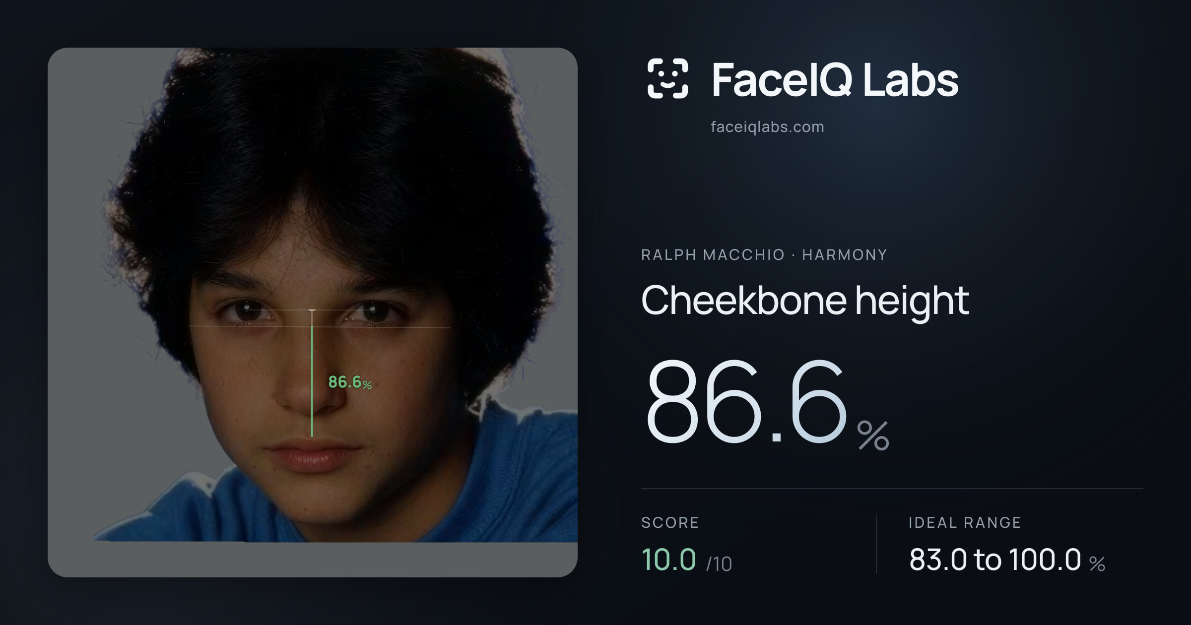 Ralph Macchio Cheekbone height: 86.6%, drawn on the photo