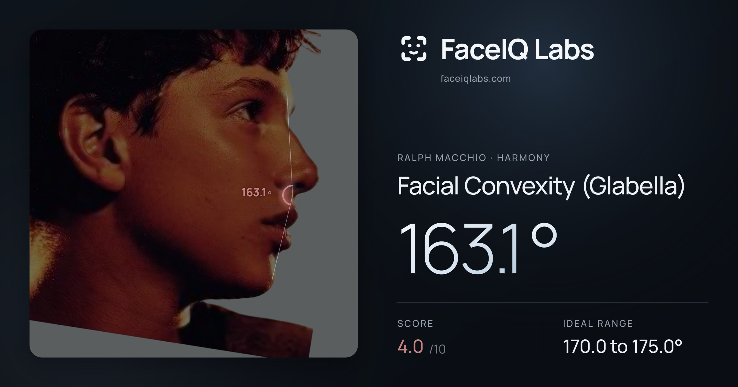 Ralph Macchio Facial Convexity (Glabella): 163.1°, drawn on the photo