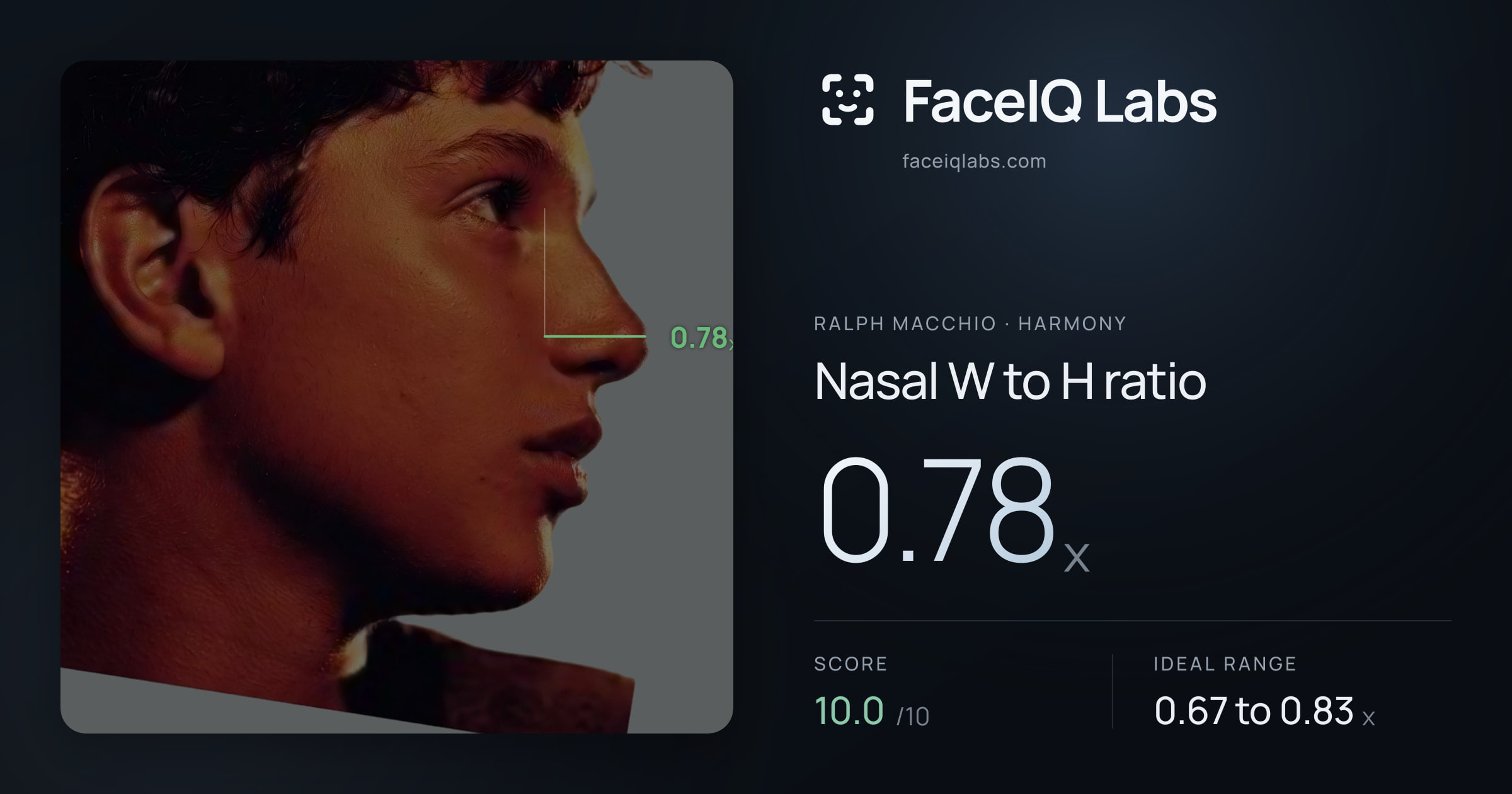 Ralph Macchio Nasal W to H ratio: 0.78x, drawn on the photo