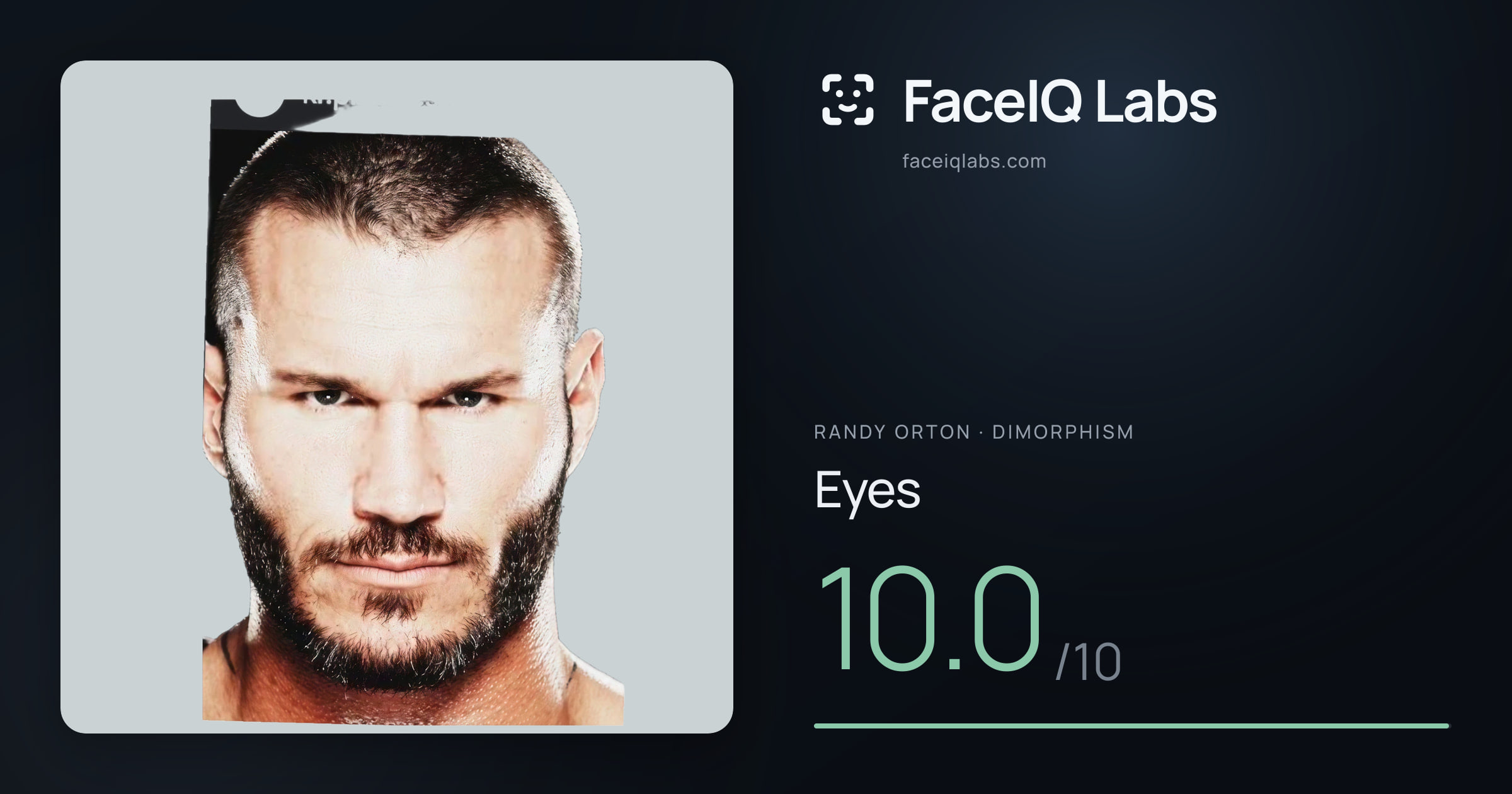Randy Orton Eyes: 10.0/10, drawn on the photo