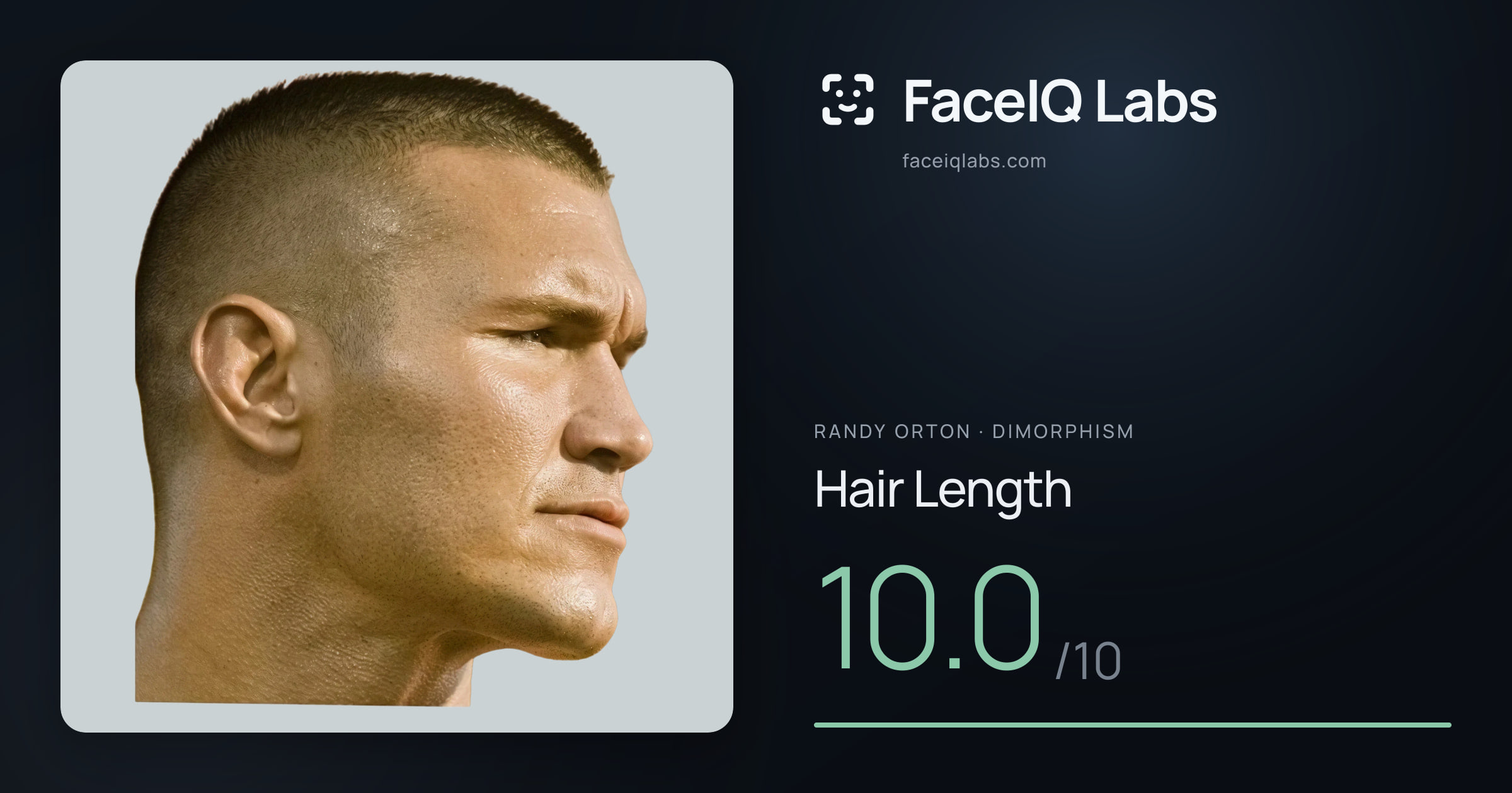 Randy Orton Hair Length: 10.0/10, drawn on the photo