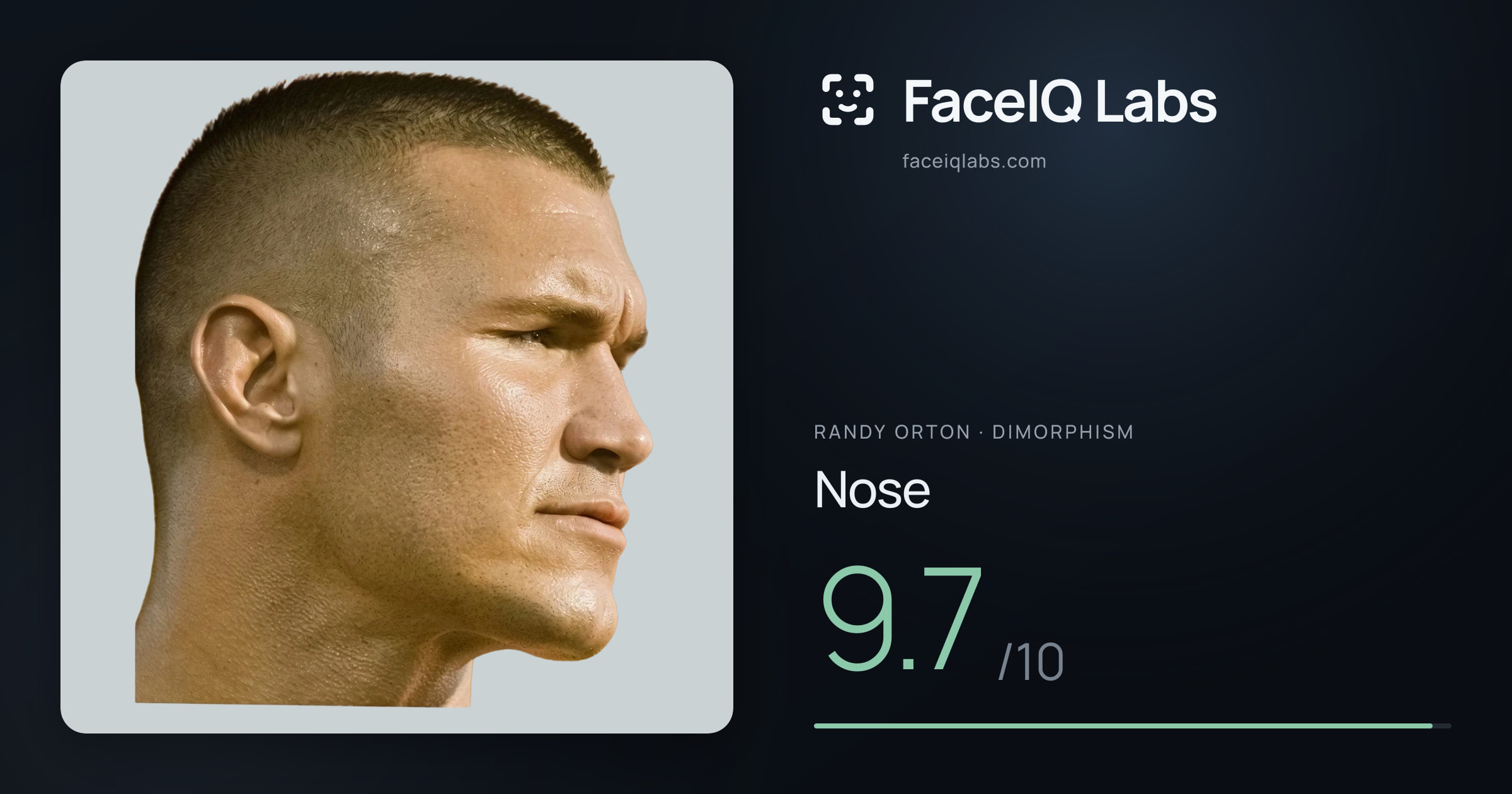 Randy Orton Nose: 9.7/10, drawn on the photo