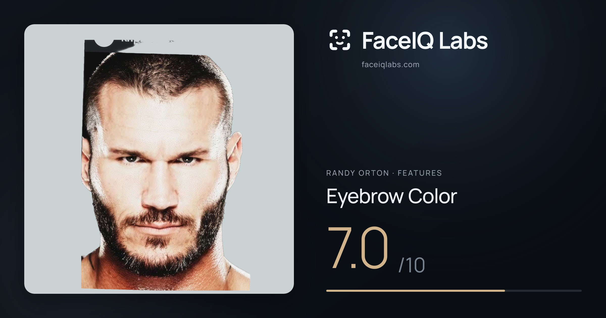 Randy Orton Eyebrow Color: 7.0/10, drawn on the photo