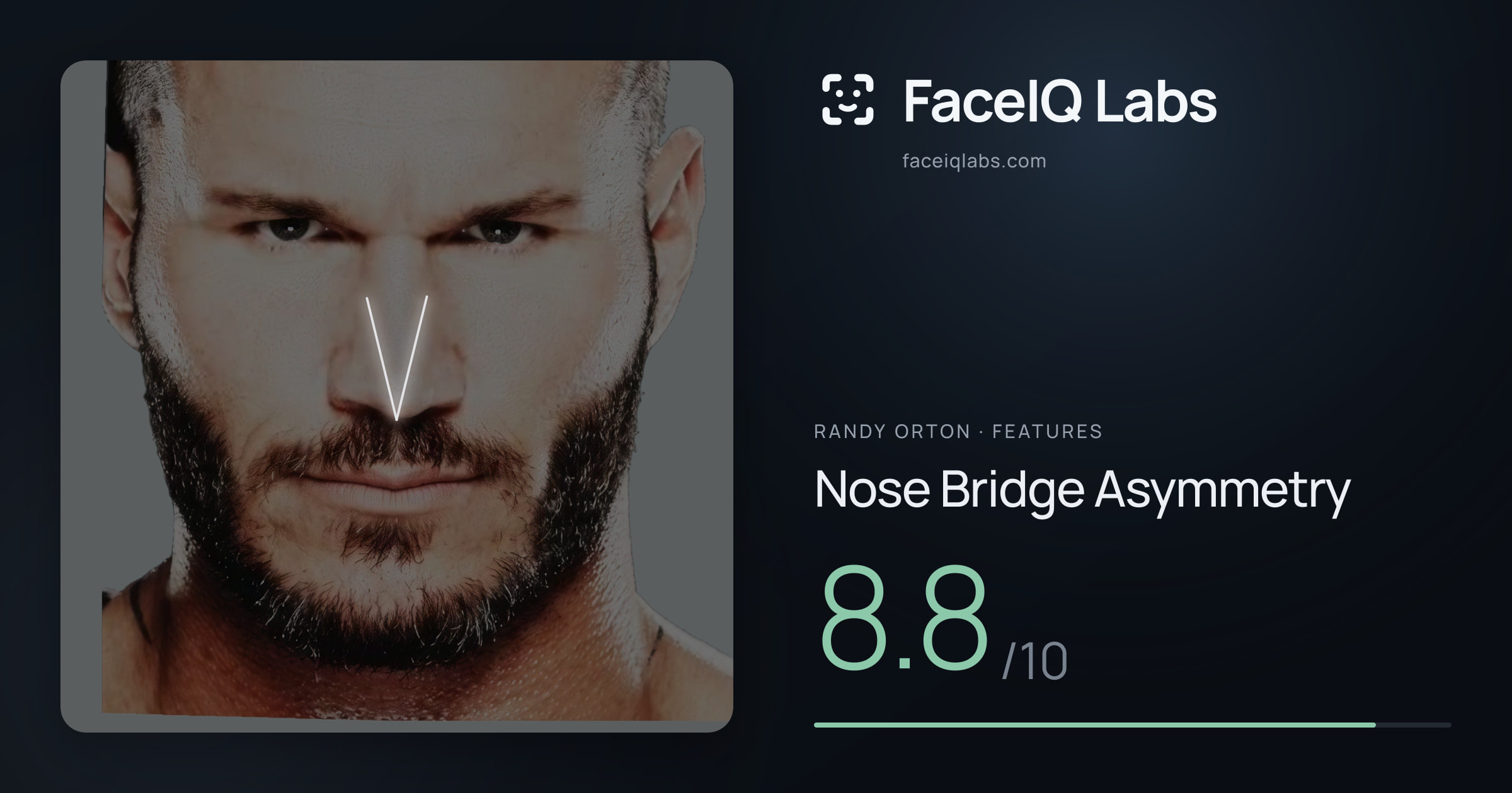 Randy Orton Nose Bridge Asymmetry: 8.8/10, drawn on the photo
