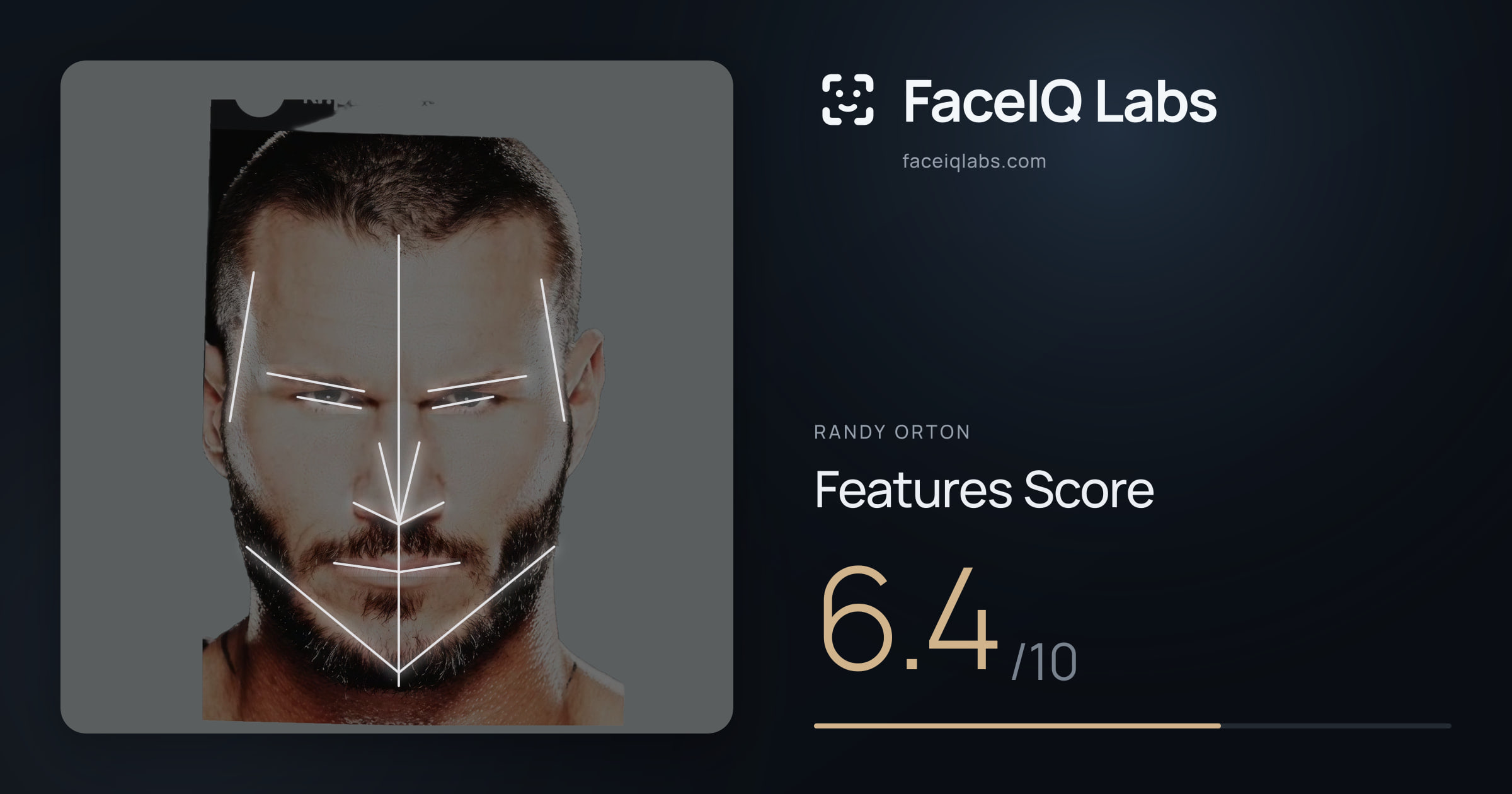 Randy Orton Features: 6.4/10, with each assessment drawn on the photo