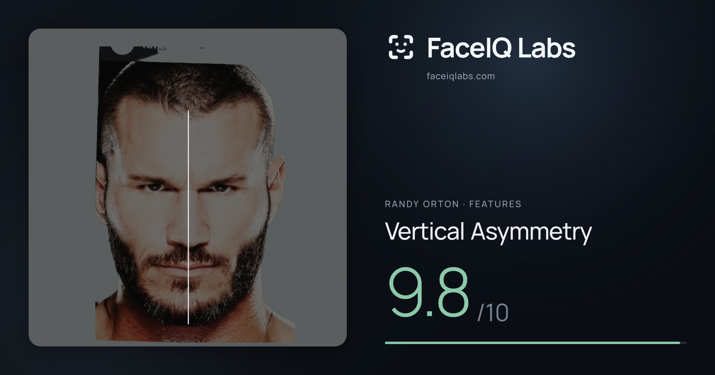 Randy Orton Vertical Asymmetry: 9.8/10, drawn on the photo