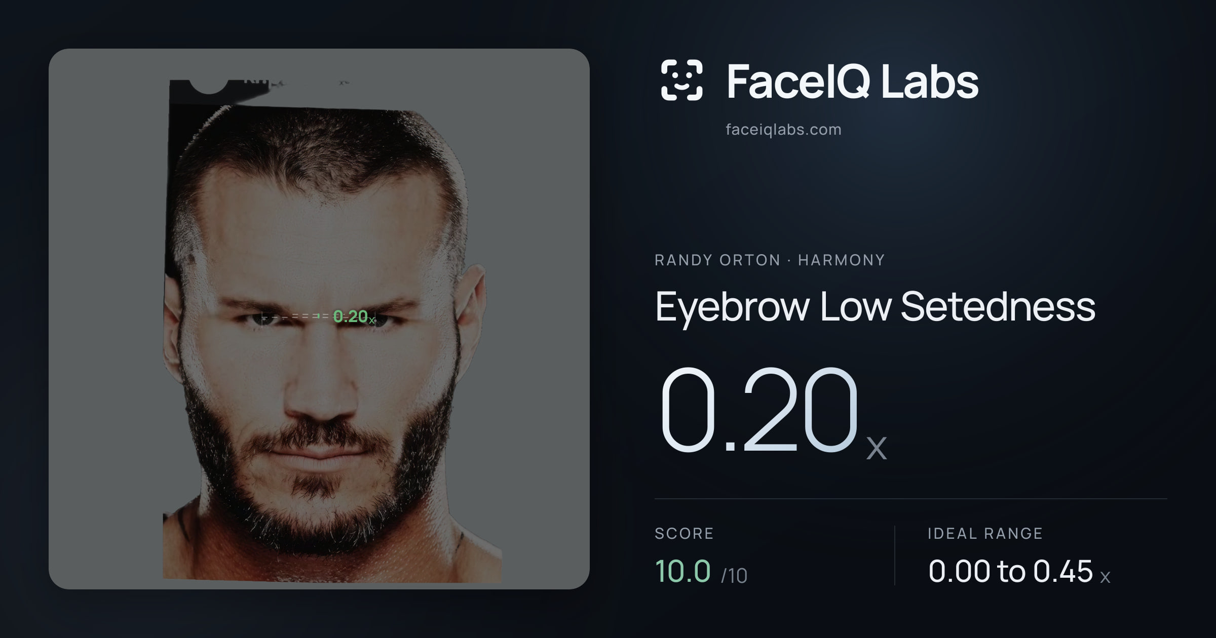 Randy Orton Eyebrow Low Setedness: 0.20x, drawn on the photo