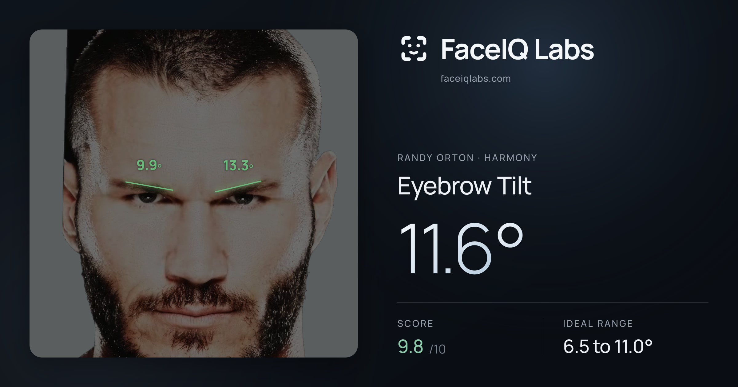 Randy Orton Eyebrow Tilt: 11.6°, drawn on the photo