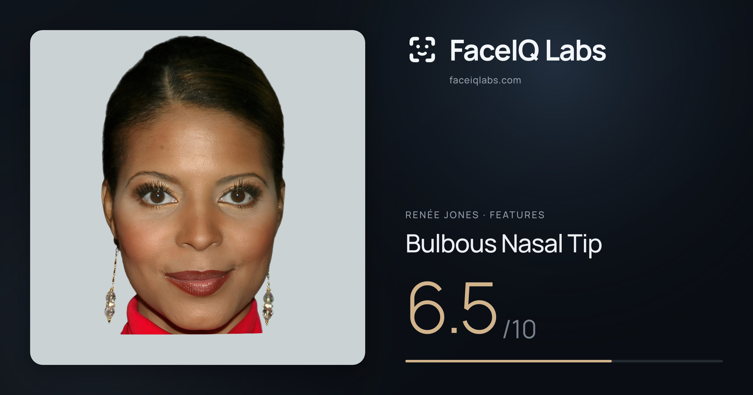 Renée Jones Bulbous Nasal Tip: 6.5/10, drawn on the photo