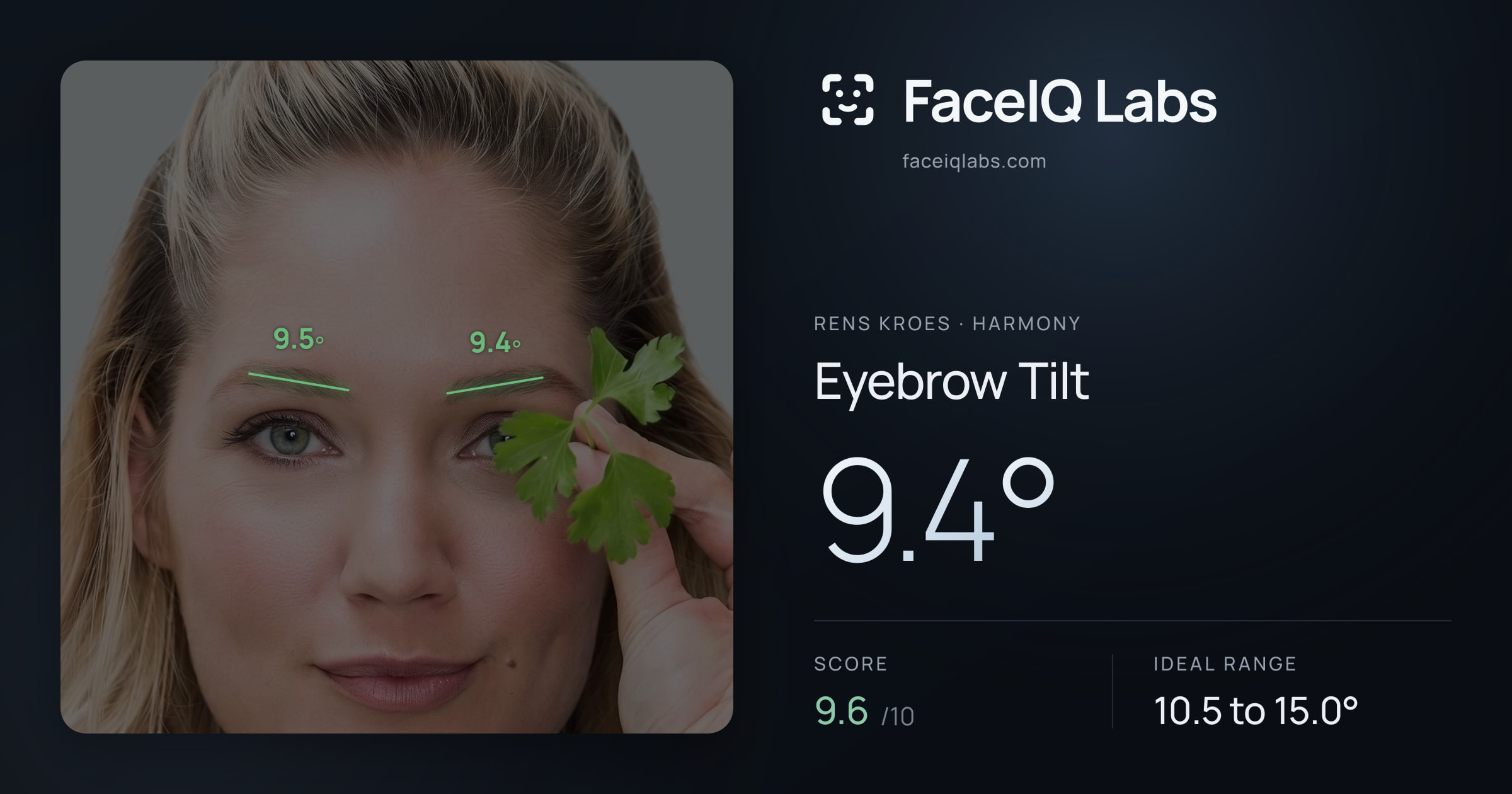 Rens Kroes Eyebrow Tilt: 9.4°, drawn on the photo