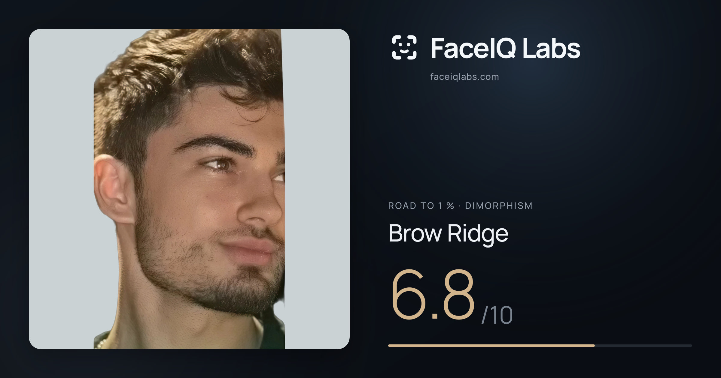 Road To 1 % Brow Ridge: 6.8/10, drawn on the photo