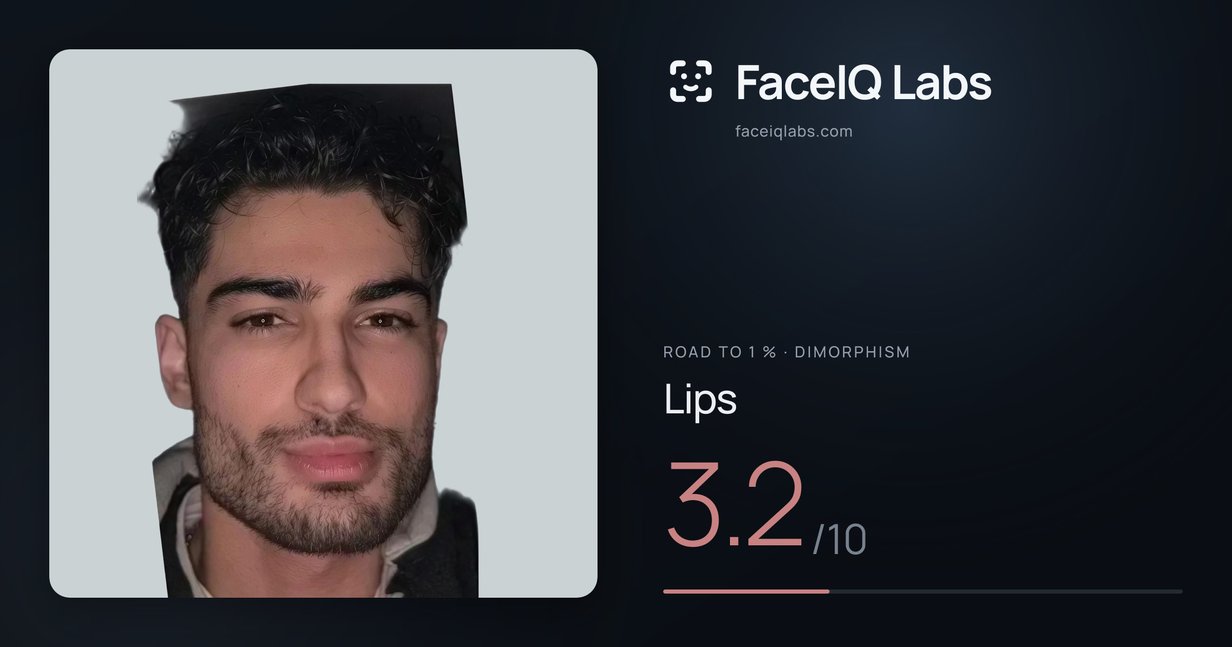 Road To 1 % Lips: 3.2/10, drawn on the photo