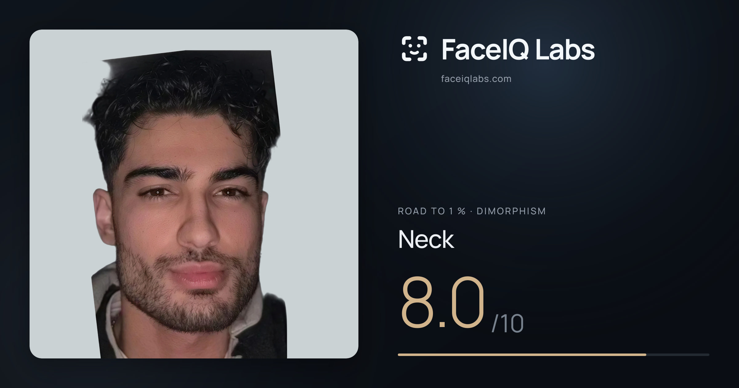 Road To 1 % Neck: 8.0/10, drawn on the photo