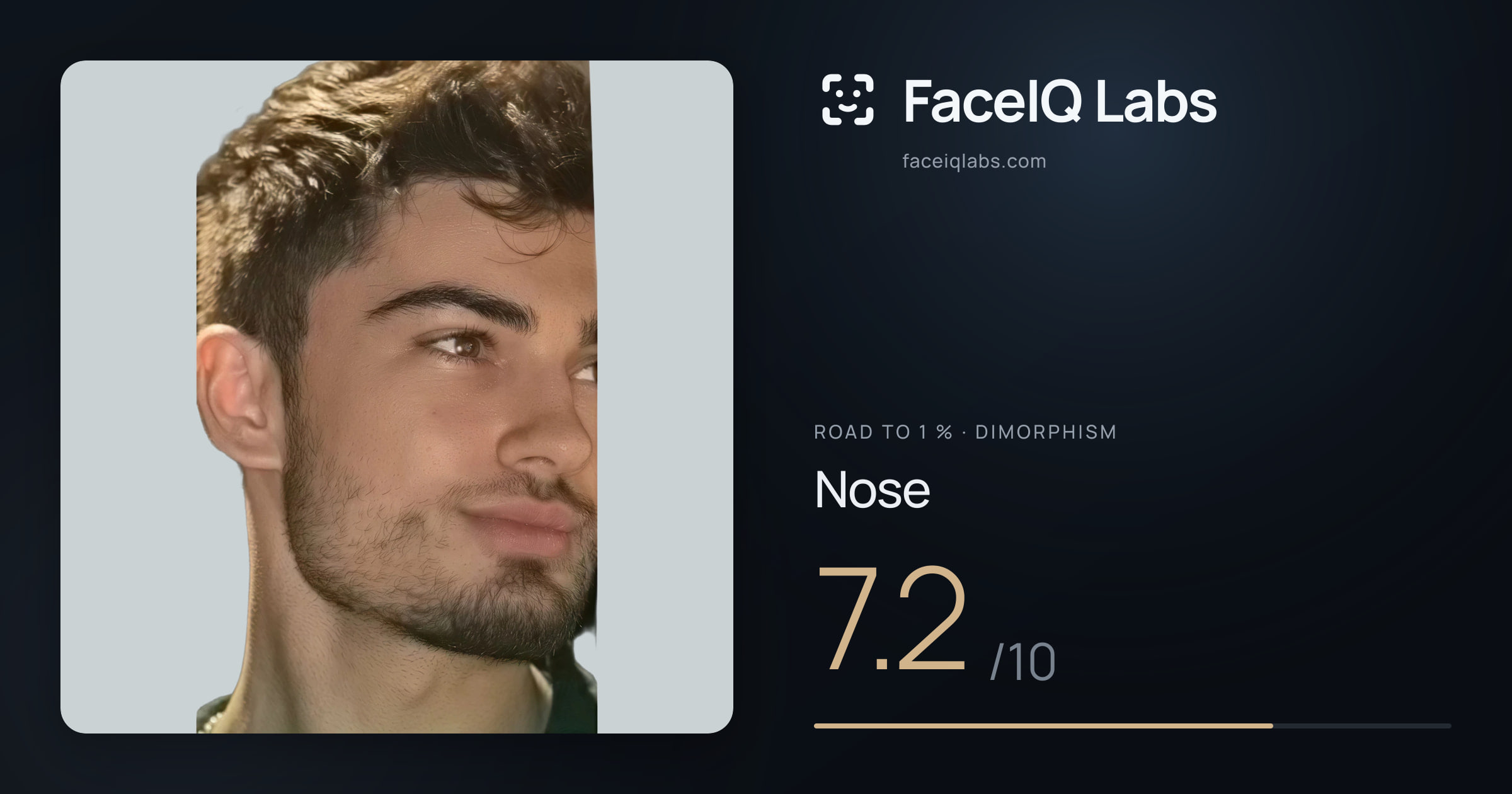 Road To 1 % Nose: 7.2/10, drawn on the photo