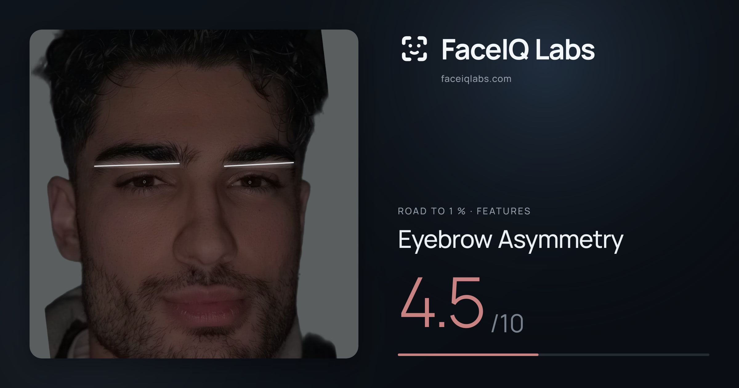 Road To 1 % Eyebrow Asymmetry: 4.5/10, drawn on the photo